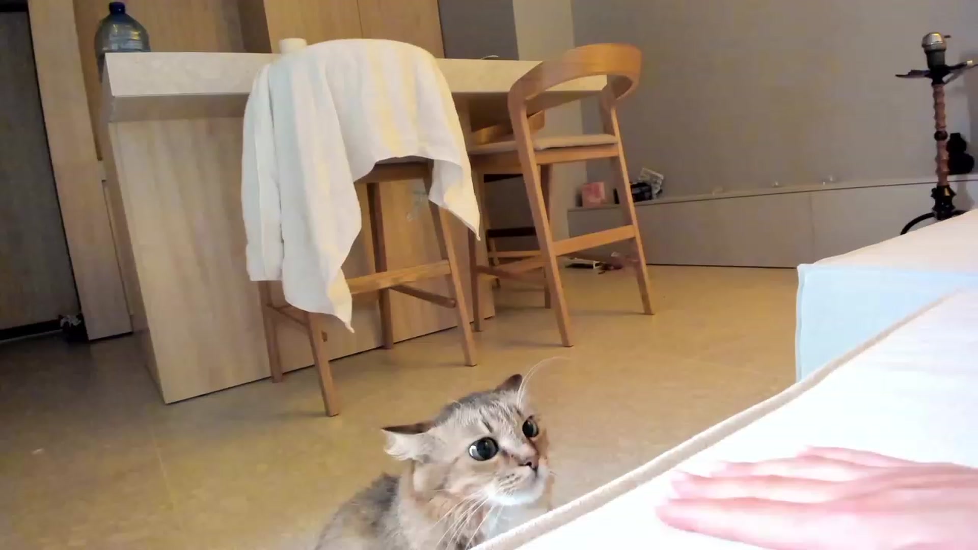 Gallery image thumbnail from SweetKlem's myfreecams stream on, 07/31/2023, 20:28 image 18 of 20