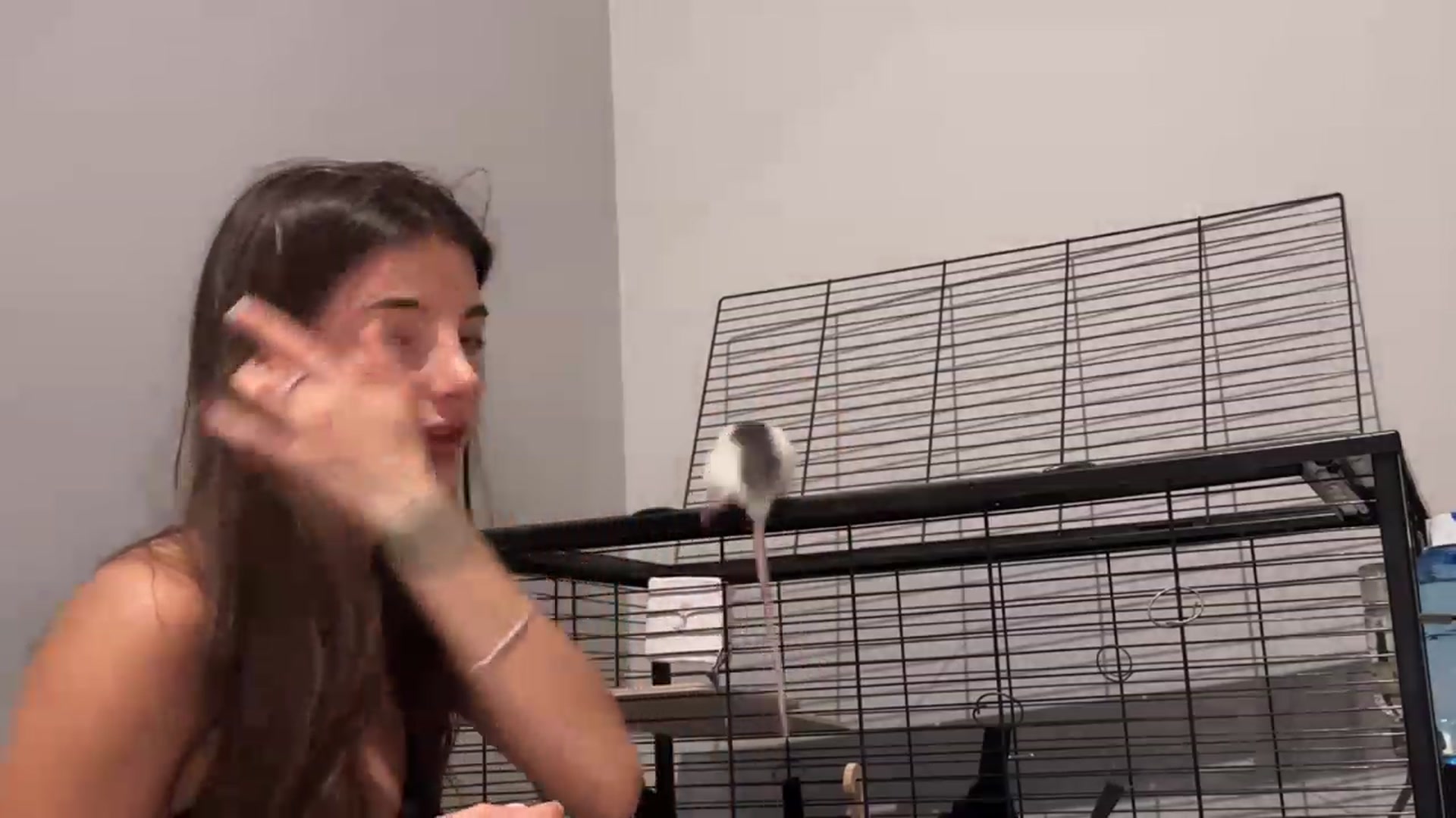 Gallery image thumbnail from SweetKlem's myfreecams stream on, 08/17/2023, 21:38 image 10 of 20