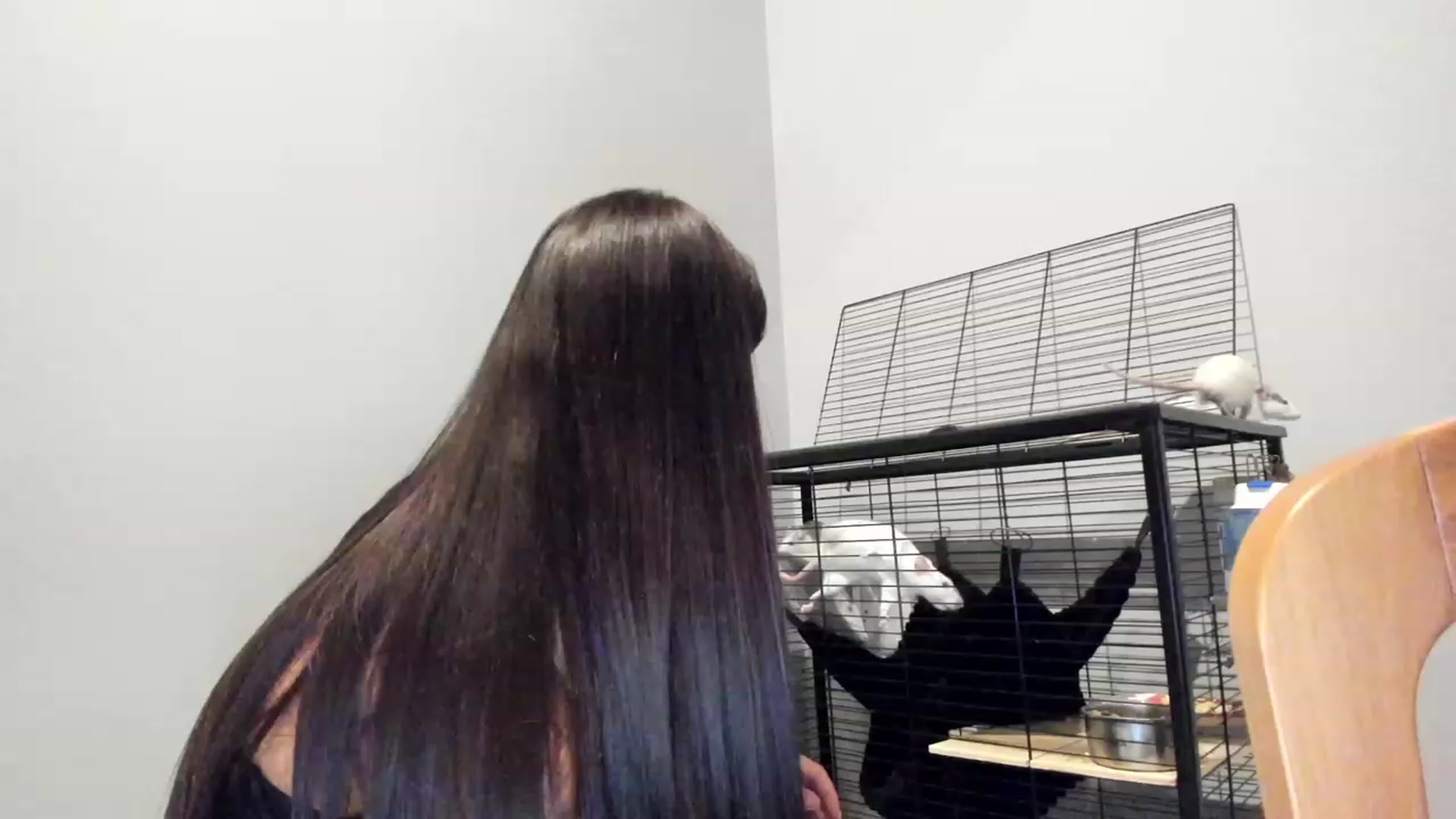 Gallery image thumbnail from SweetKlem's myfreecams stream on, 08/25/2023, 22:17 image 5 of 20