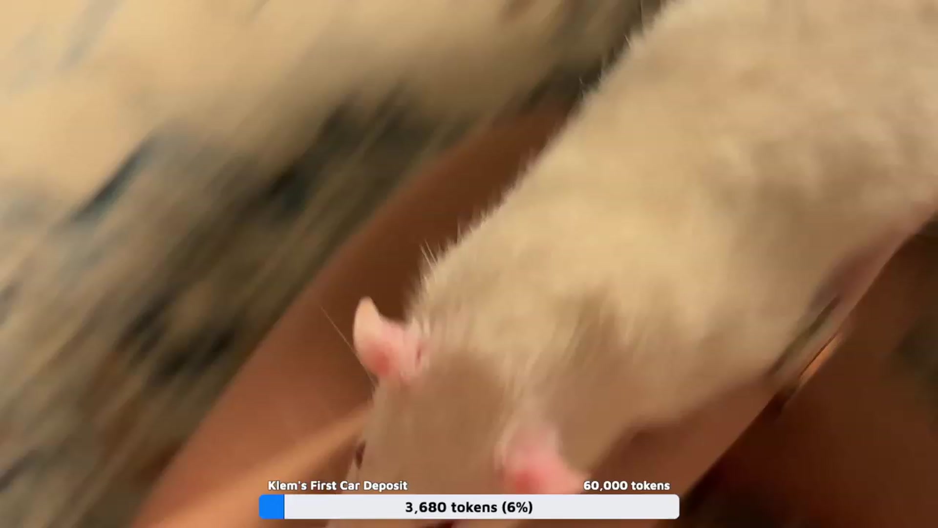 Gallery image thumbnail from SweetKlem's myfreecams stream on, 01/17/2024, 07:06 image 14 of 20