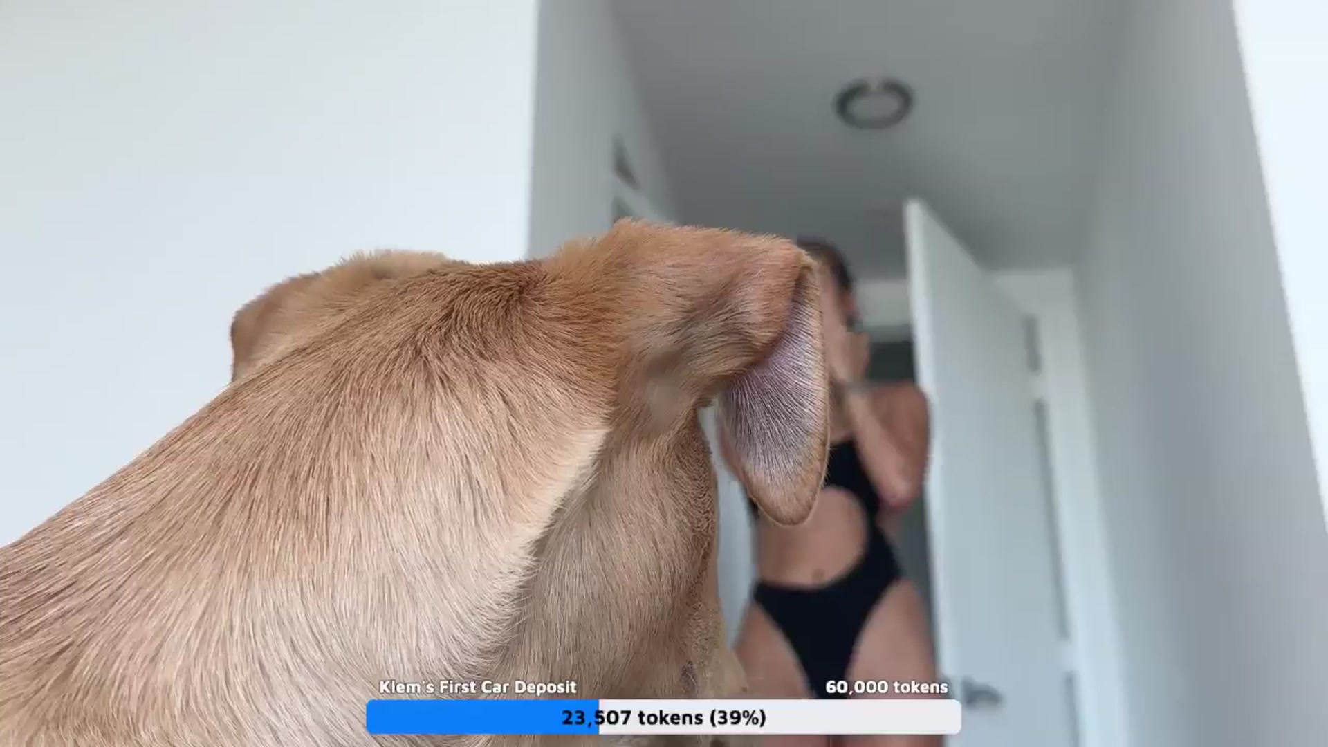 Gallery image thumbnail from SweetKlem's myfreecams stream on, 05/02/2024, 18:19 image 14 of 20