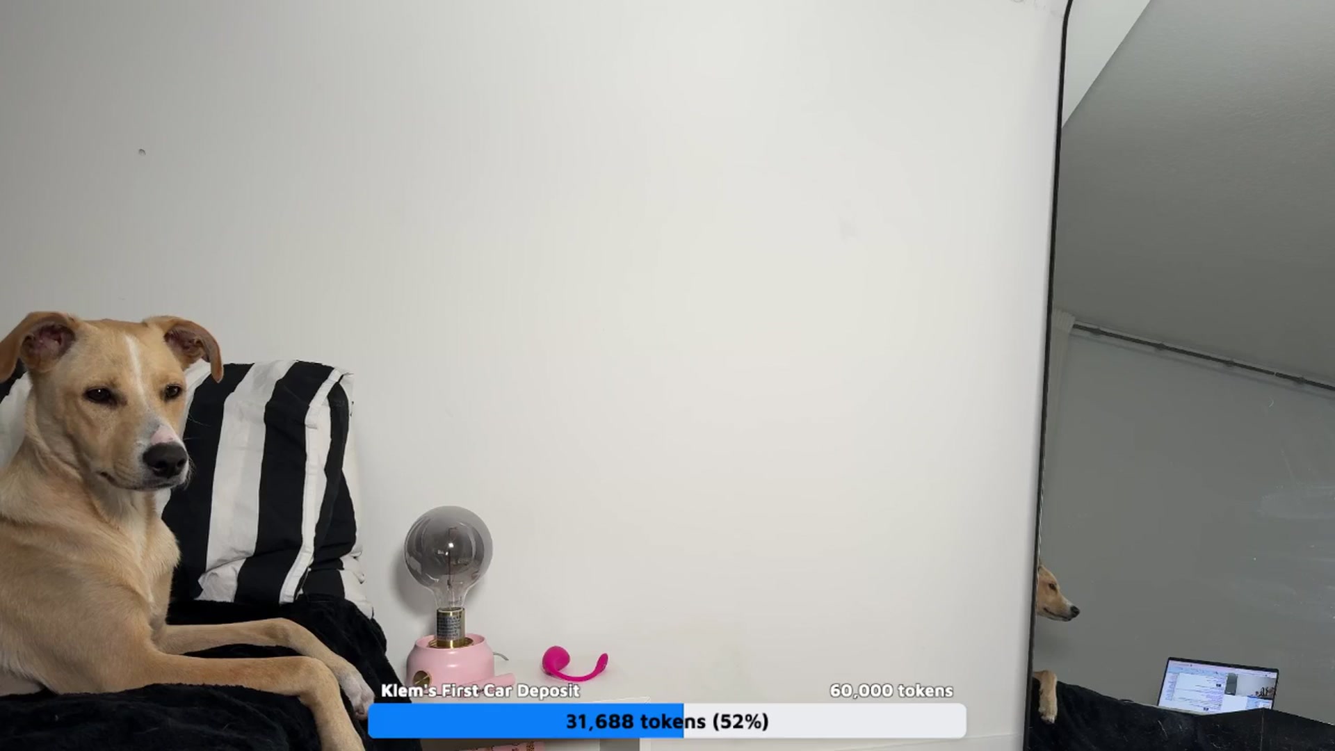 Gallery image thumbnail from SweetKlem's myfreecams stream on, 08/13/2024, 04:56 image 18 of 20