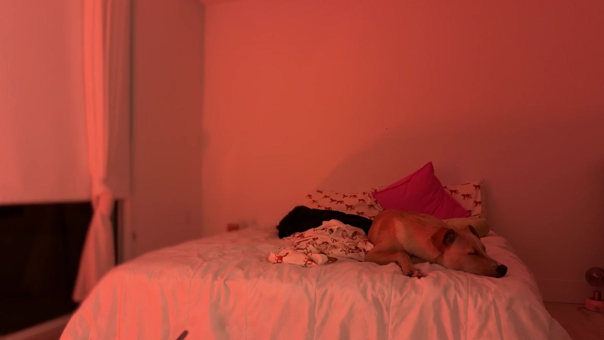 Gallery image thumbnail from SweetKlem's myfreecams stream on, 08/28/2024, 07:09 image 16 of 20