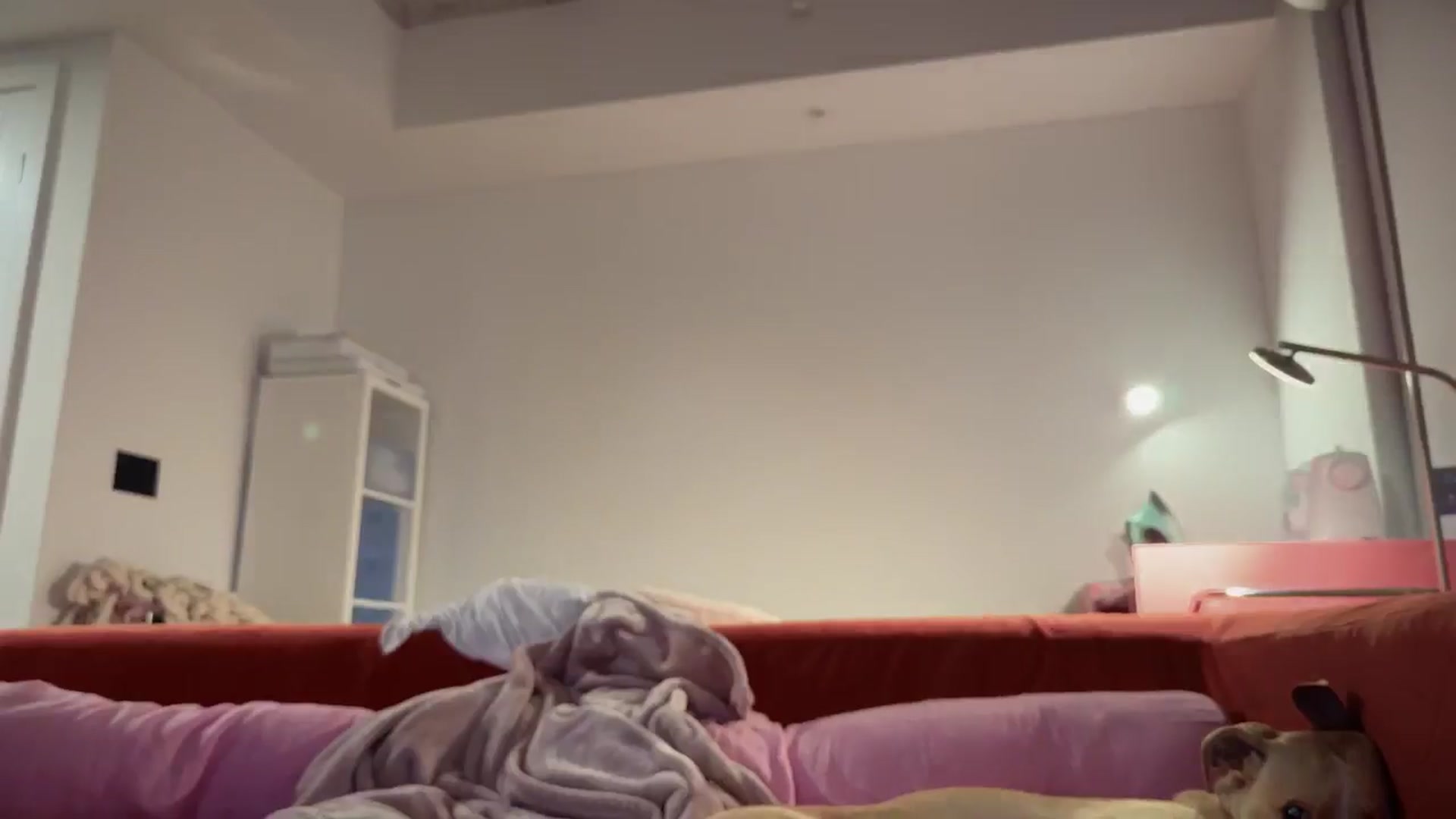 Gallery image thumbnail from SweetKlem's myfreecams stream on, 03/04/2025, 07:05 image 19 of 20