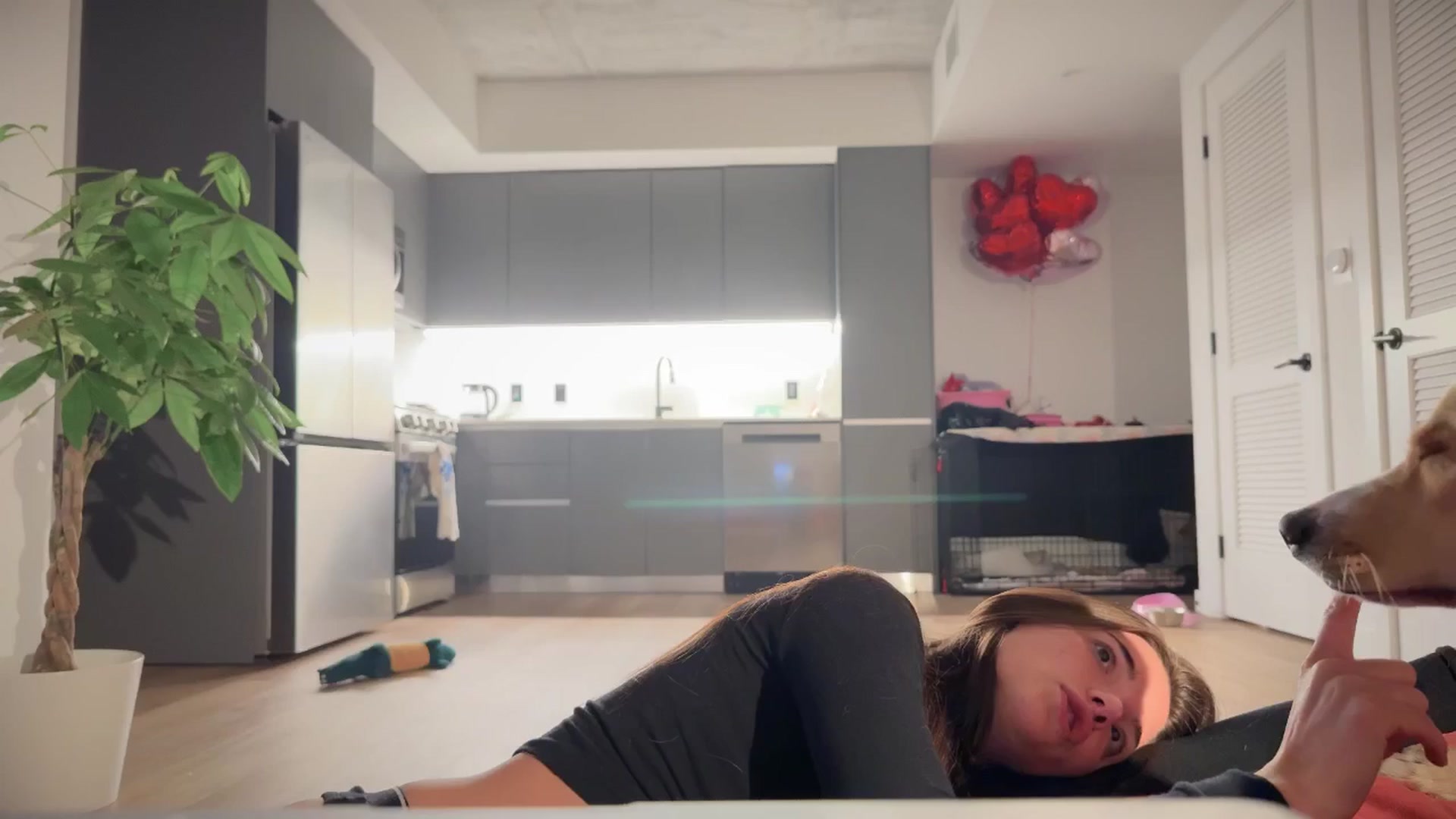 Gallery image thumbnail from SweetKlem's myfreecams stream on, 03/11/2025, 04:33 image 20 of 20