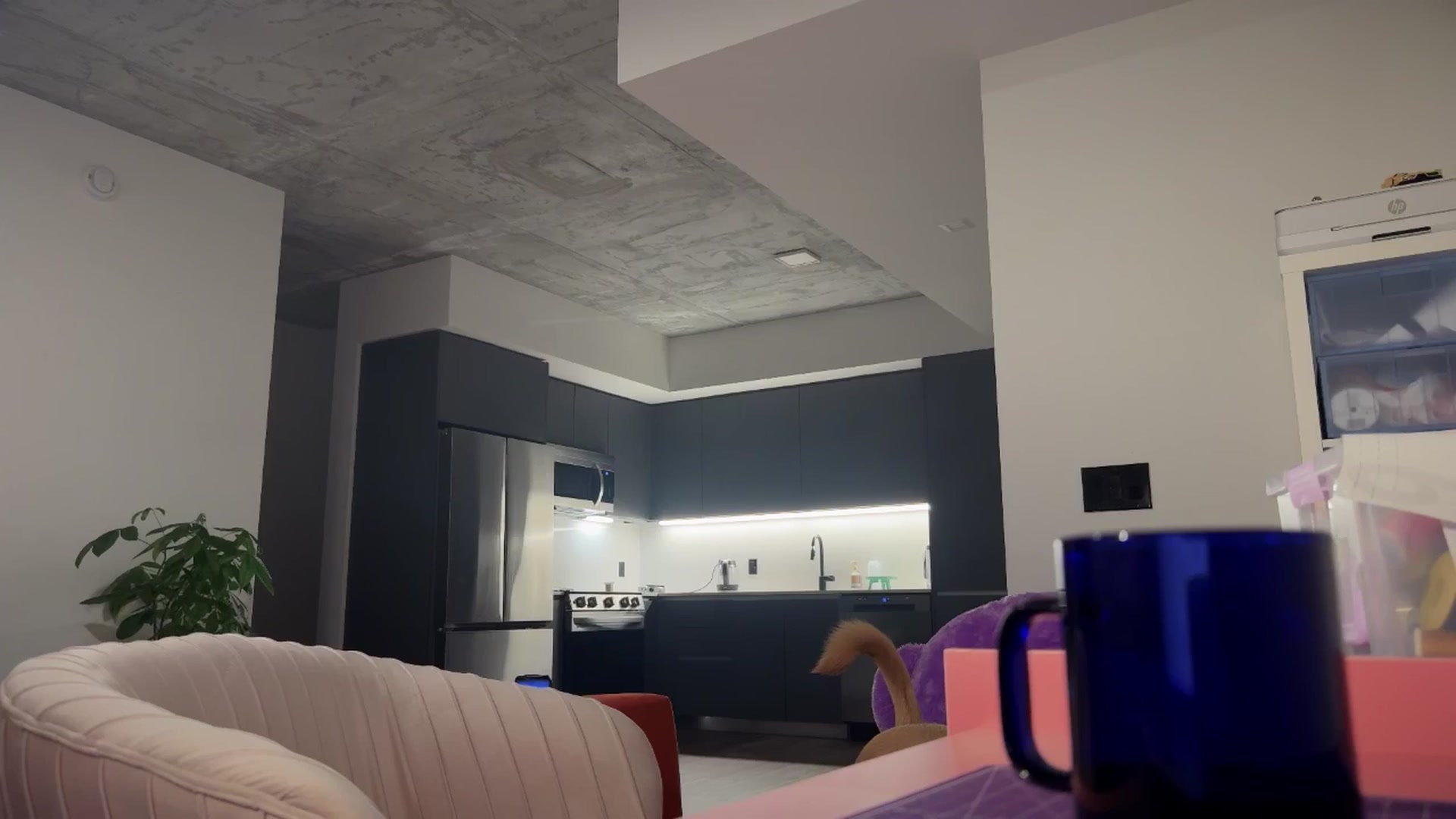 Gallery image thumbnail from SweetKlem's myfreecams stream on, 03/23/2025, 04:20 image 15 of 20
