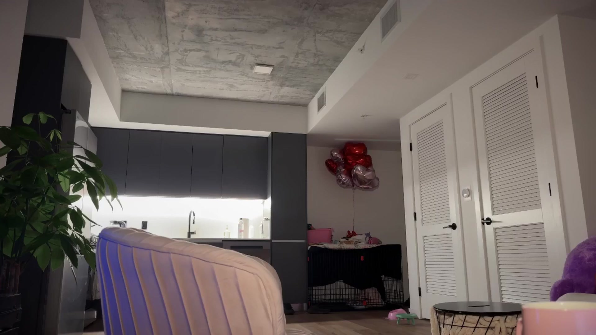 Gallery image thumbnail from SweetKlem's myfreecams stream on, 03/24/2025, 05:19 image 2 of 20