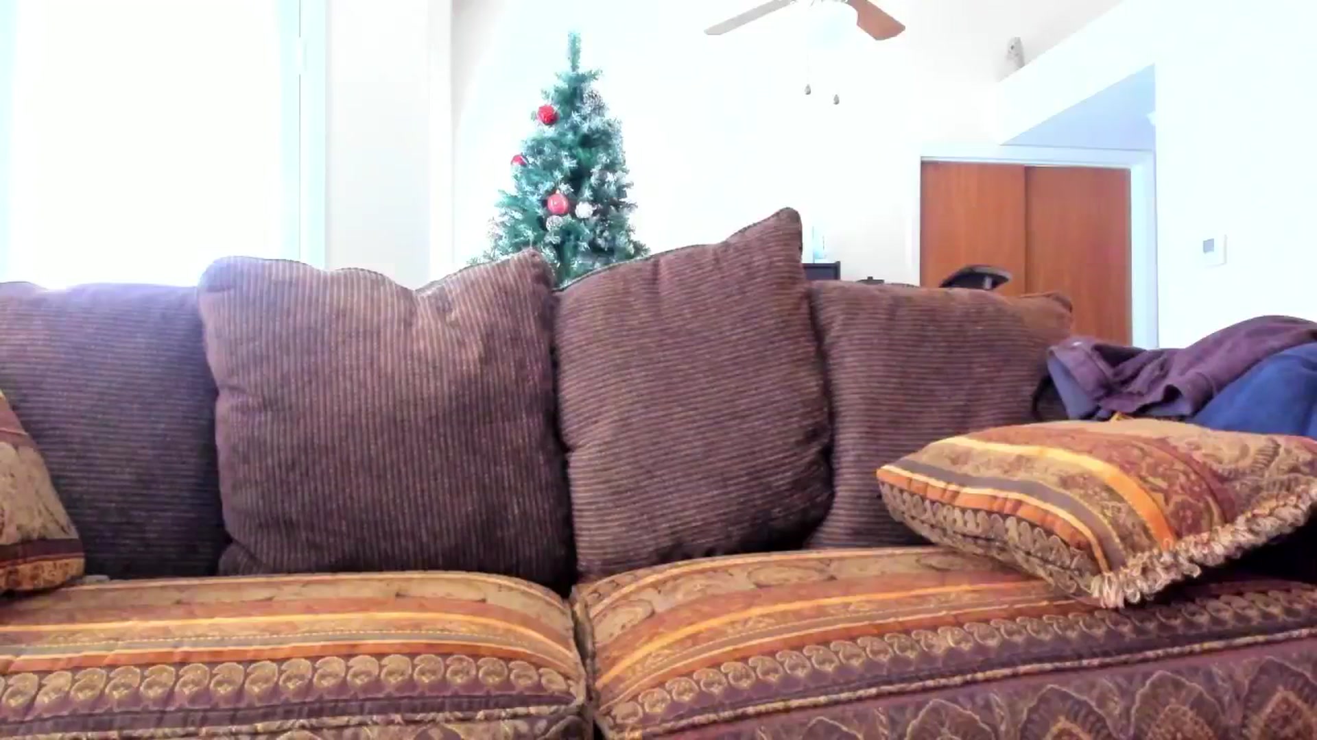 Gallery image thumbnail from SweetMango's myfreecams stream on, 02/16/2024, 19:31 image 16 of 20