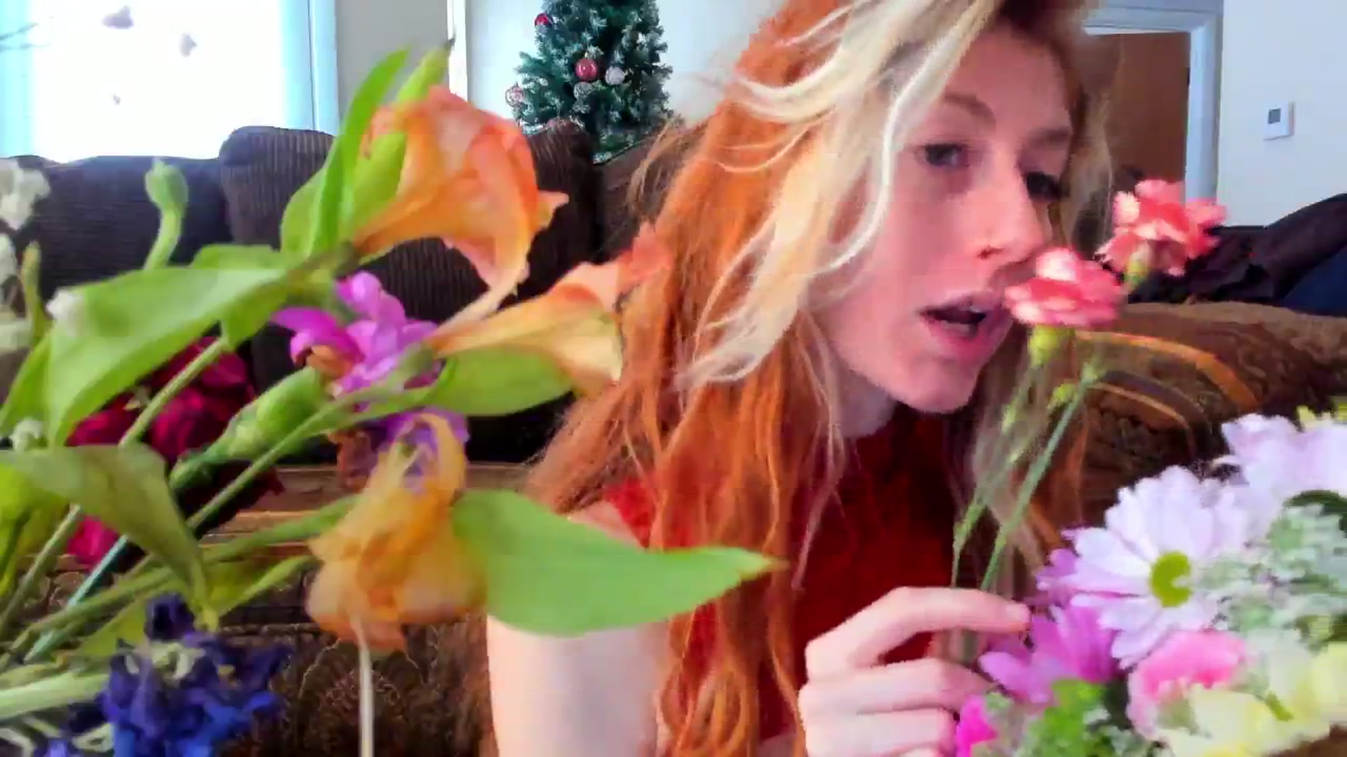 Gallery image thumbnail from SweetMango's myfreecams stream on, 02/16/2024, 19:31 image 6 of 20