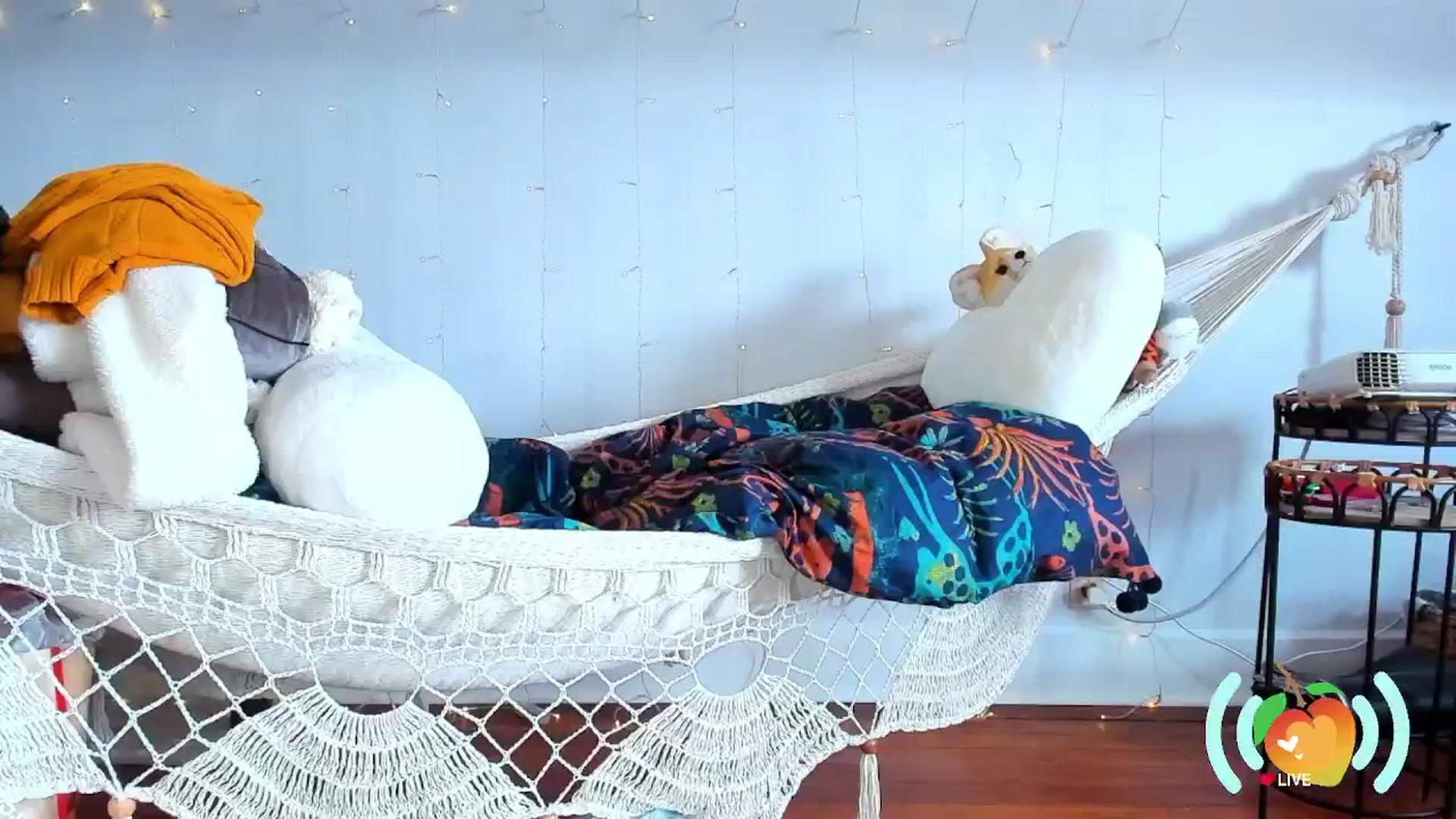 Gallery image thumbnail from SweetMango's myfreecams stream on, 12/19/2024, 20:44 image 1 of 20