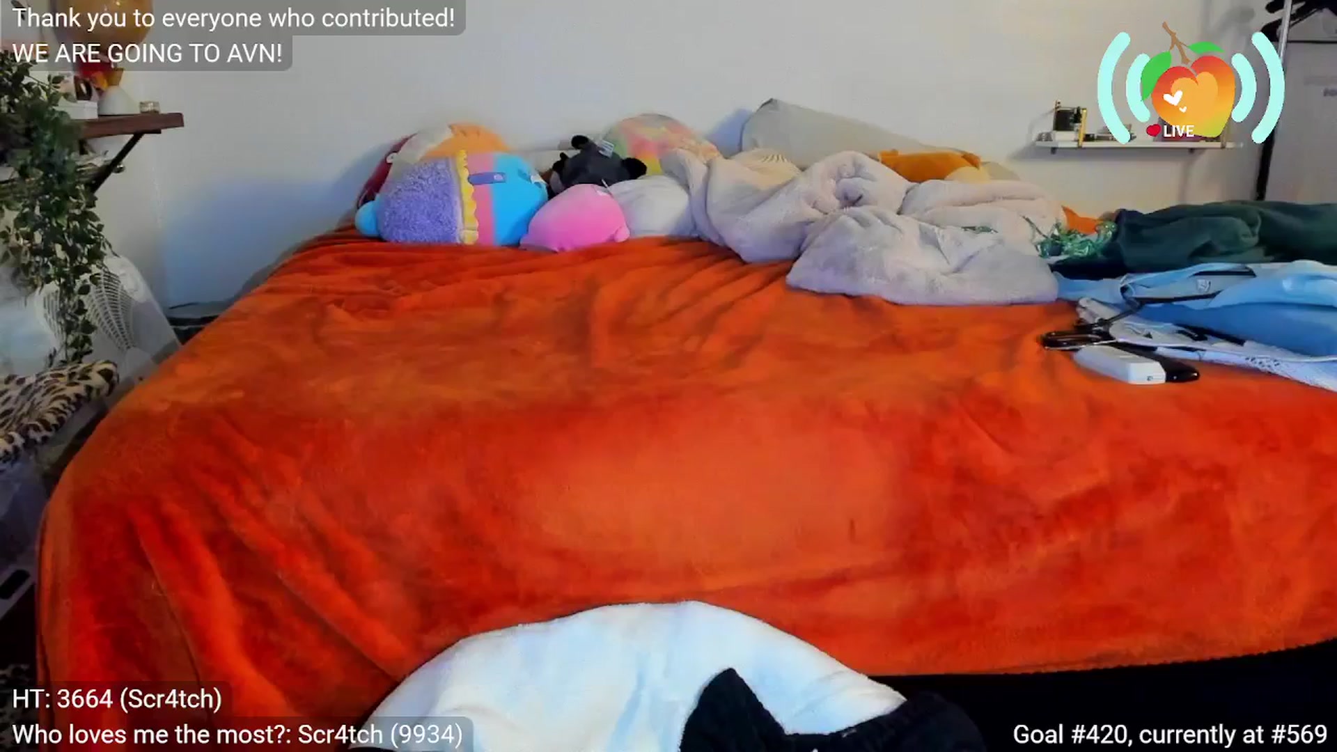 Gallery image thumbnail from SweetMango's myfreecams stream on, 11/05/2025, 06:32 image 13 of 20