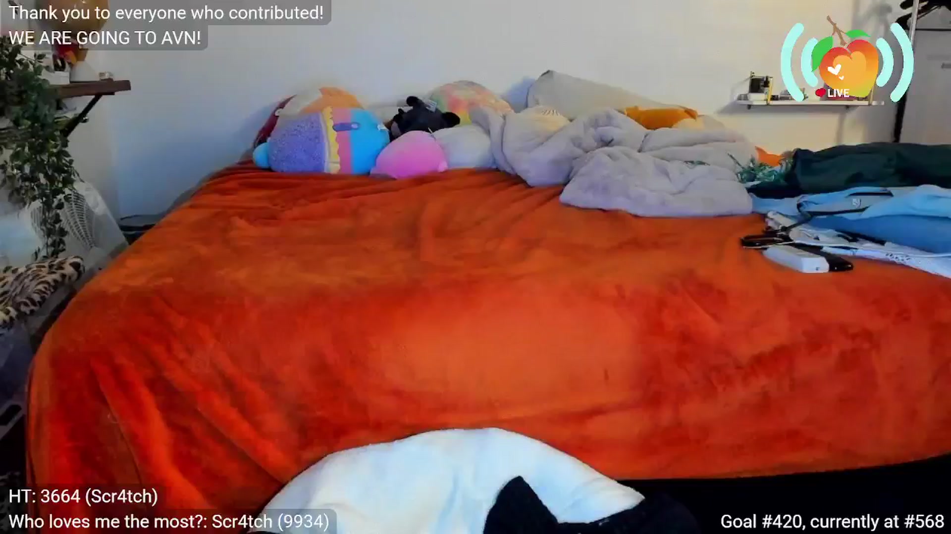Gallery image thumbnail from SweetMango's myfreecams stream on, 11/05/2025, 06:32 image 12 of 20