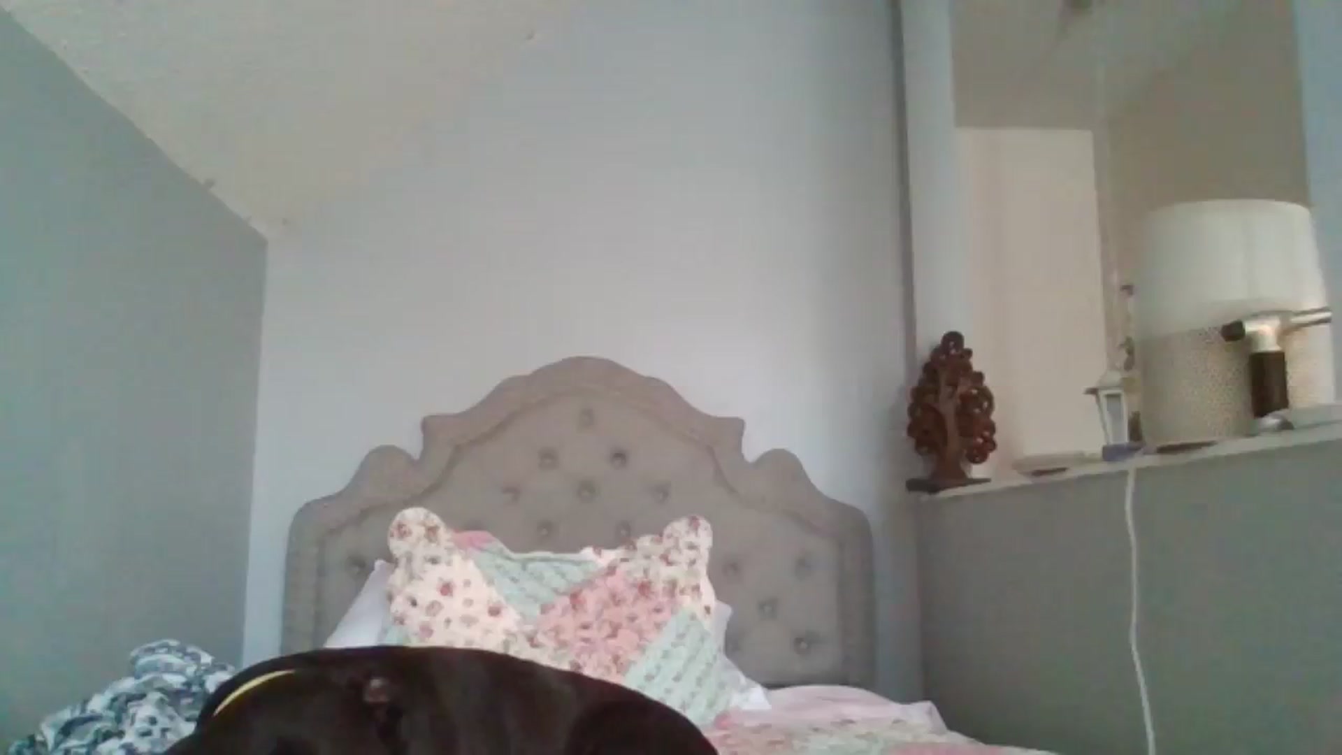 Gallery image thumbnail from SweetNSouthrn's myfreecams stream on, 12/16/2025, 14:08 image 7 of 20