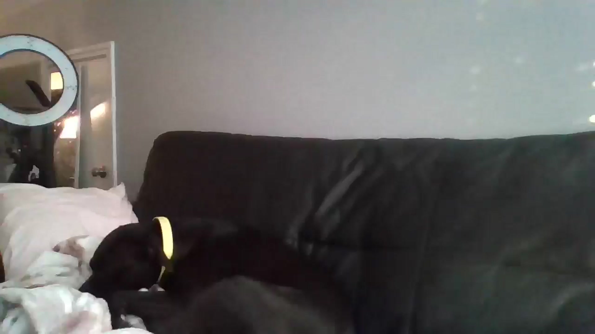 Gallery image thumbnail from SweetNSouthrn's myfreecams stream on, 12/25/2025, 13:05 image 8 of 20