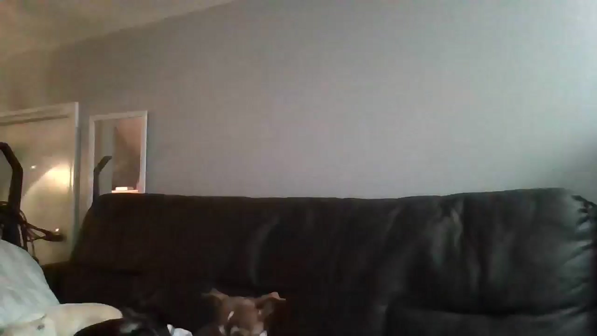 Gallery image thumbnail from SweetNSouthrn's myfreecams stream on, 01/04/2026, 12:29 image 6 of 20