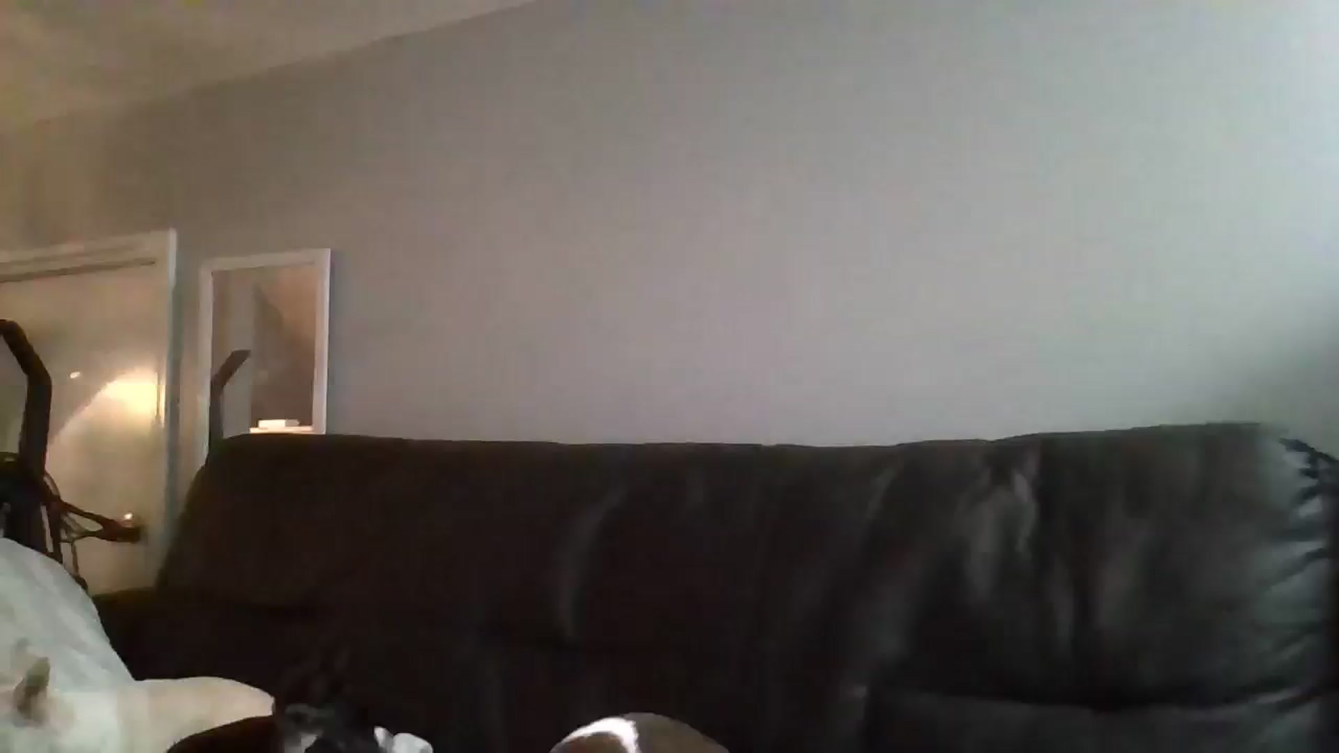 Gallery image thumbnail from SweetNSouthrn's myfreecams stream on, 01/04/2026, 12:29 image 7 of 20