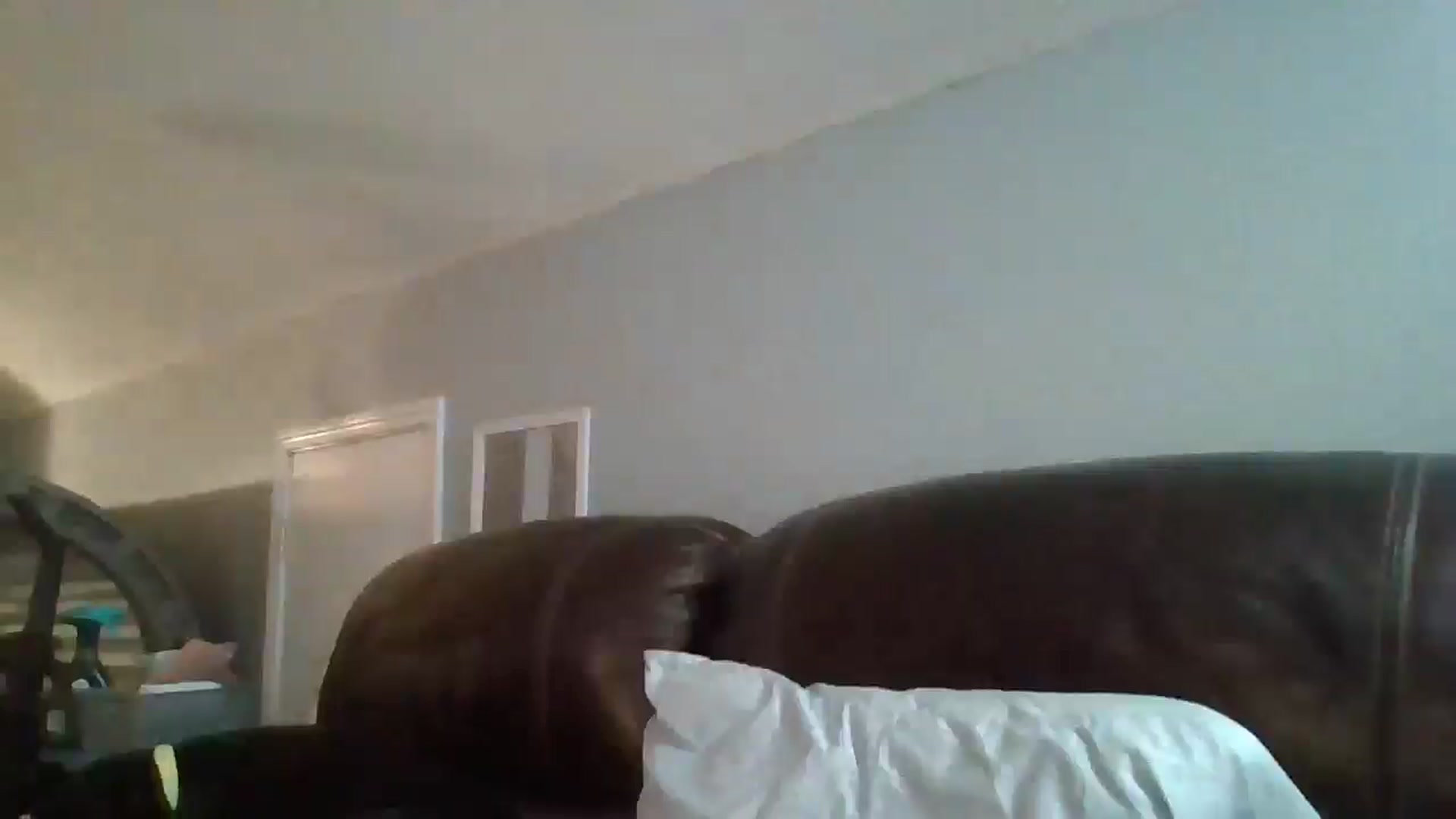 Gallery image thumbnail from SweetNSouthrn's myfreecams stream on, 01/12/2026, 12:39 image 19 of 20