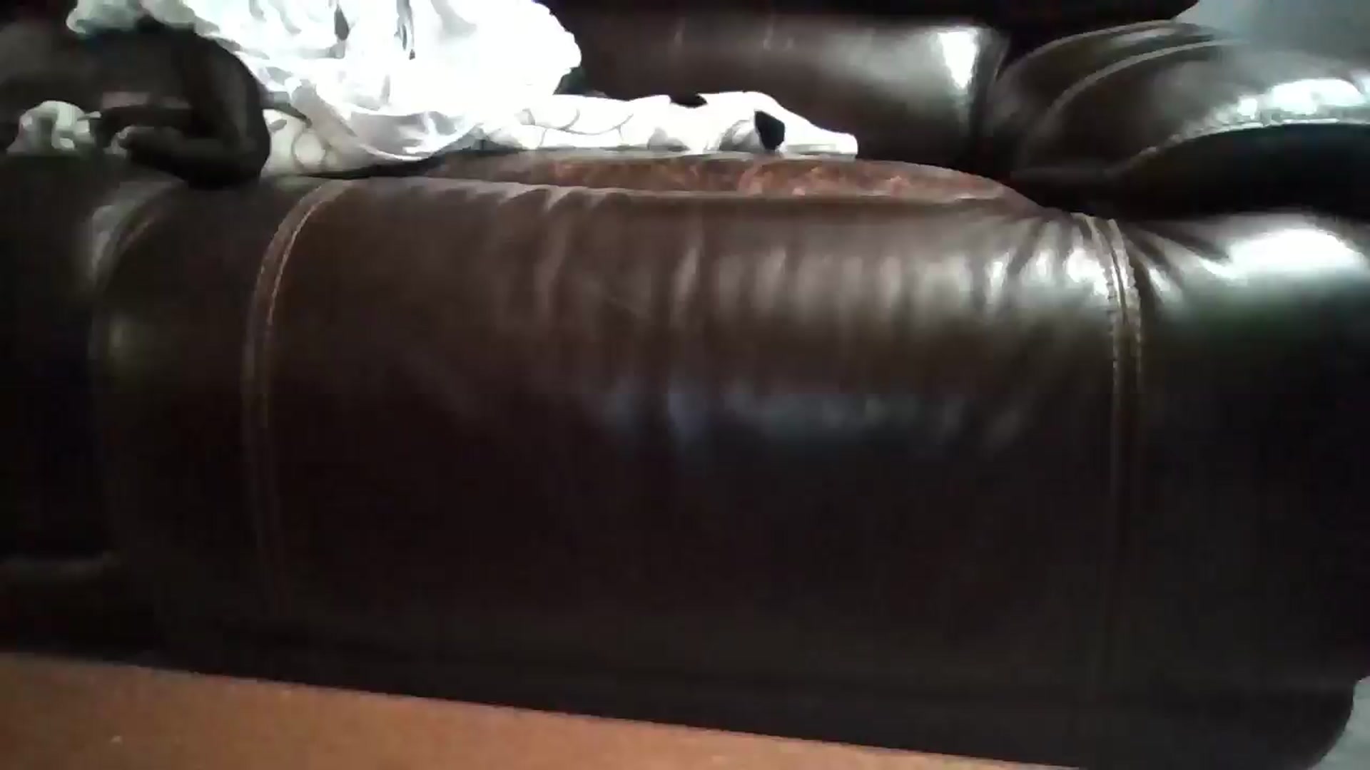 Gallery image thumbnail from SweetNSouthrn's myfreecams stream on, 02/26/2026, 11:13 image 8 of 20
