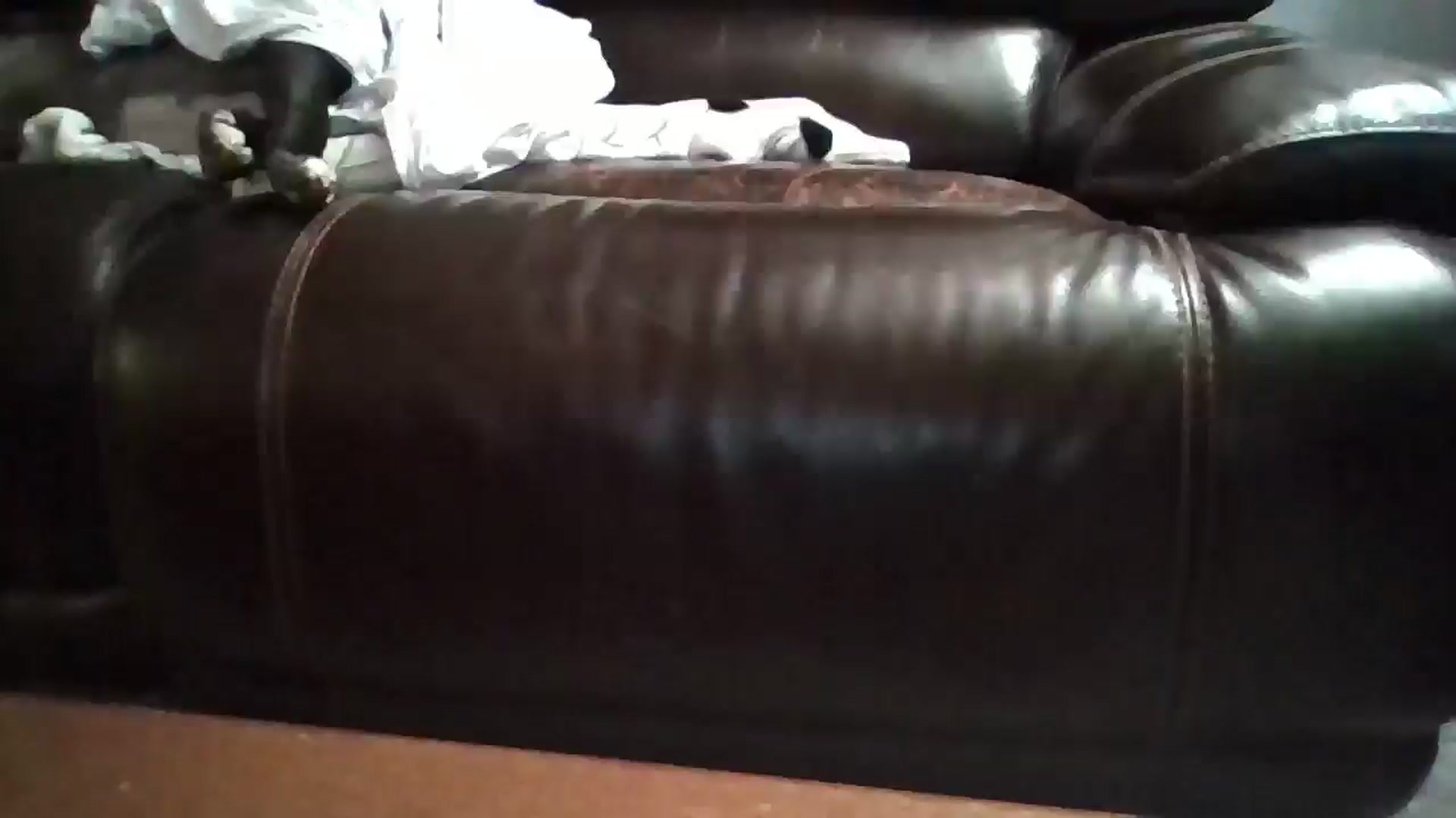 Gallery image thumbnail from SweetNSouthrn's myfreecams stream on, 02/26/2026, 11:13 image 9 of 20