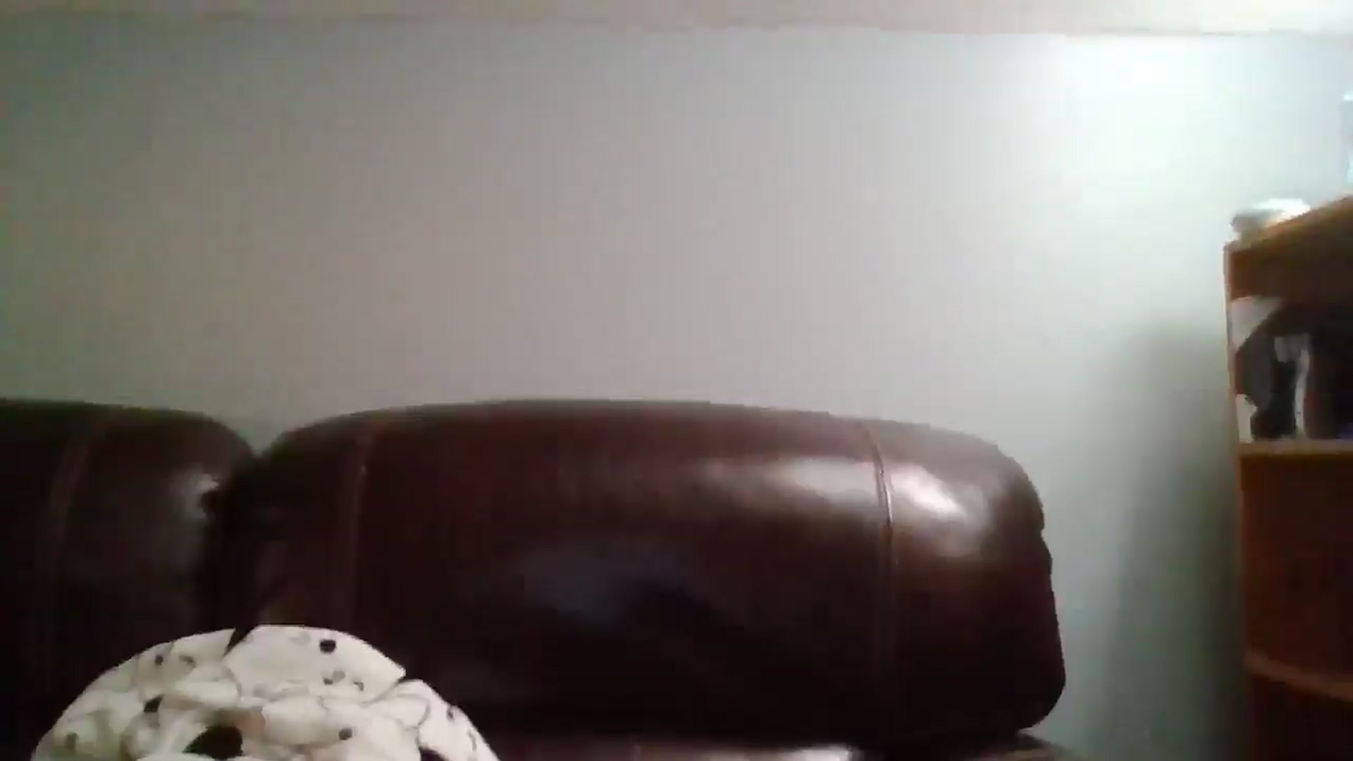 Gallery image thumbnail from SweetNSouthrn's myfreecams stream on, 02/28/2026, 13:21 image 10 of 20