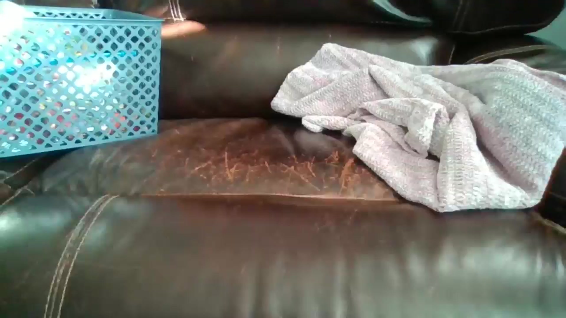 Gallery image thumbnail from SweetNSouthrn's myfreecams stream on, 03/14/2026, 12:41 image 9 of 20