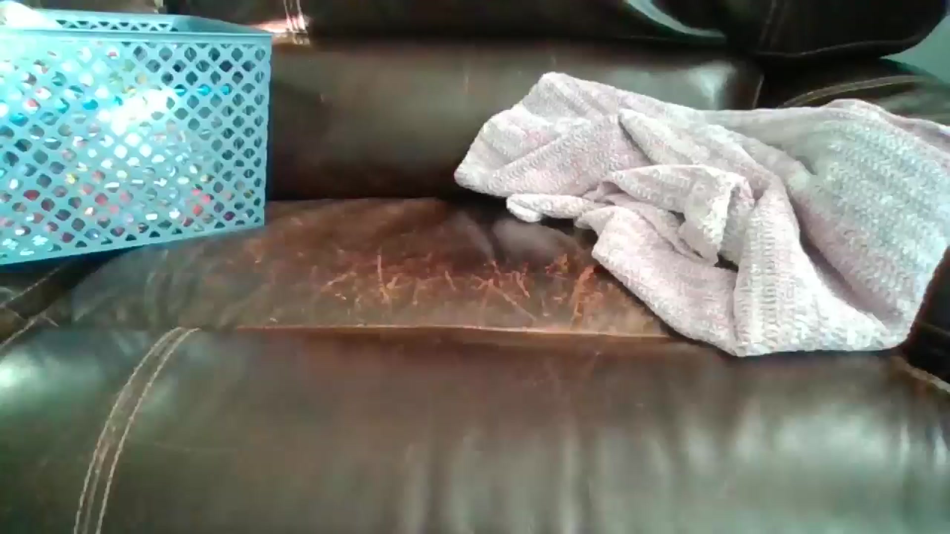 Gallery image thumbnail from SweetNSouthrn's myfreecams stream on, 03/14/2026, 12:41 image 7 of 20