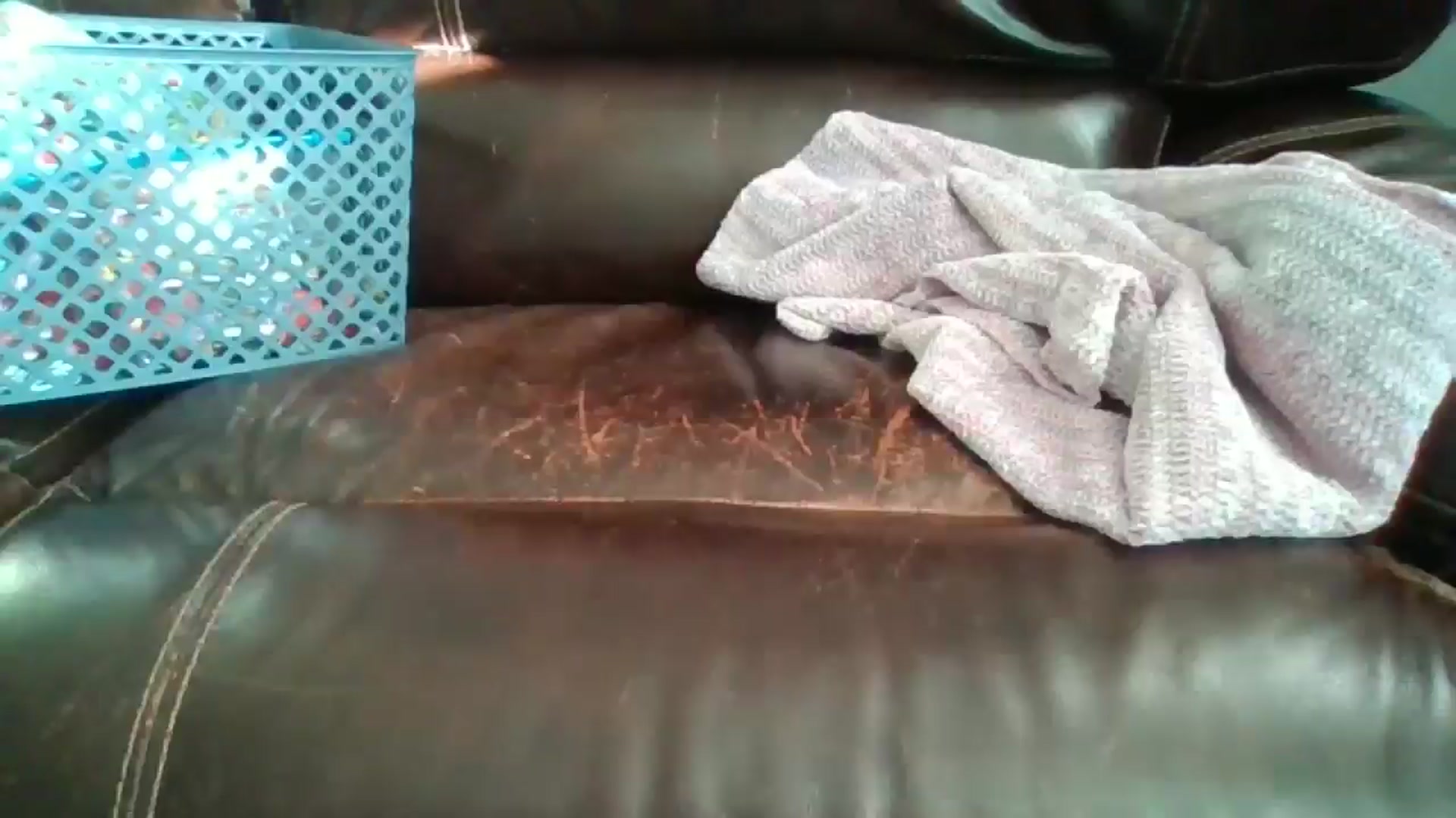 Gallery image thumbnail from SweetNSouthrn's myfreecams stream on, 03/14/2026, 12:41 image 8 of 20