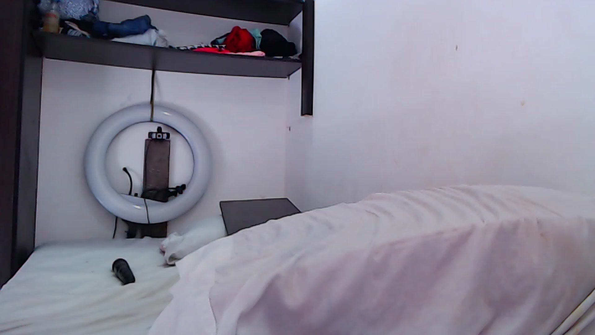 Gallery image thumbnail from SweetNinotCHk's myfreecams stream on, 02/17/2024, 18:50 image 19 of 20