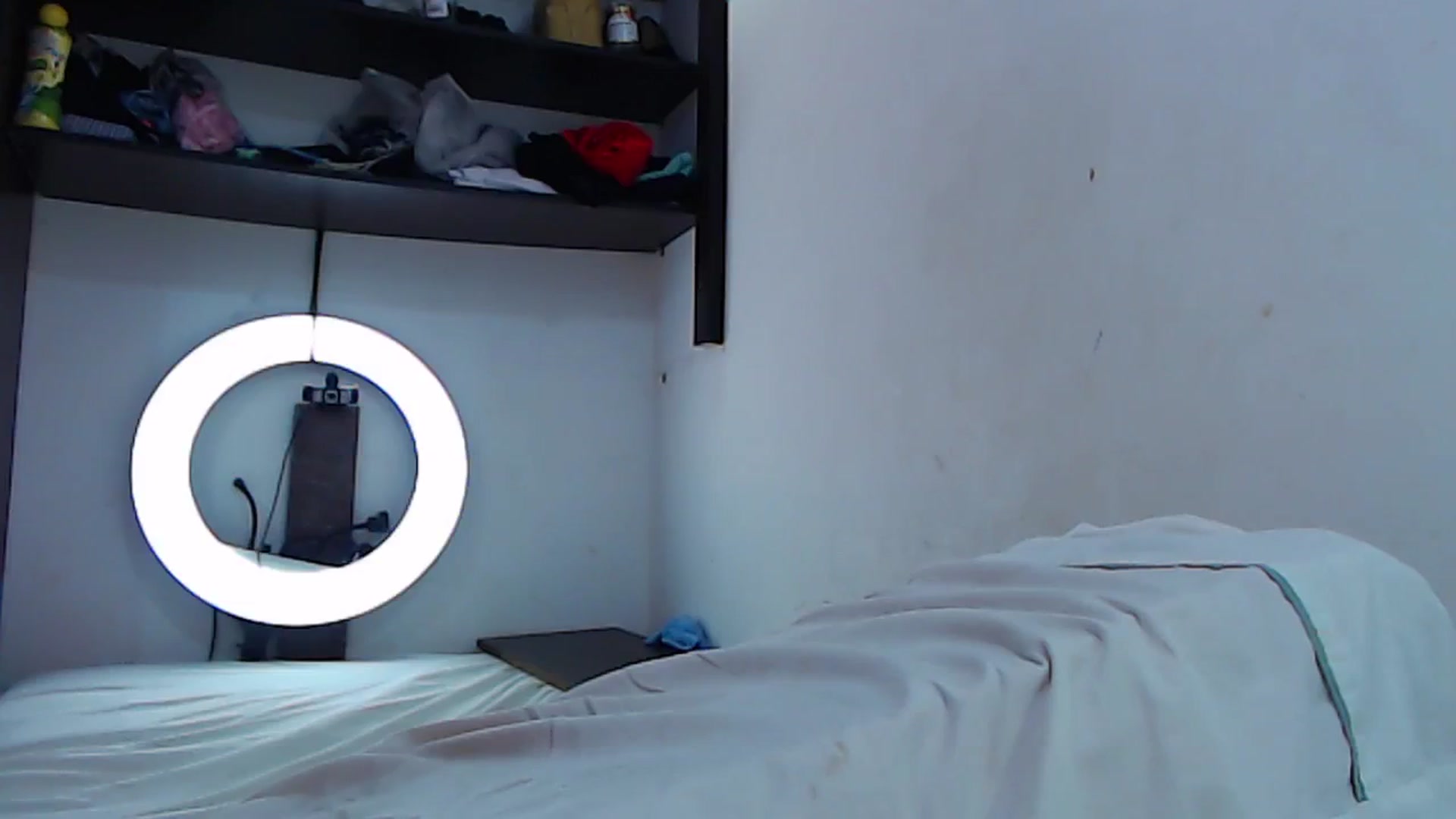 Gallery image thumbnail from SweetNinotCHk's myfreecams stream on, 04/25/2024, 18:17 image 5 of 20