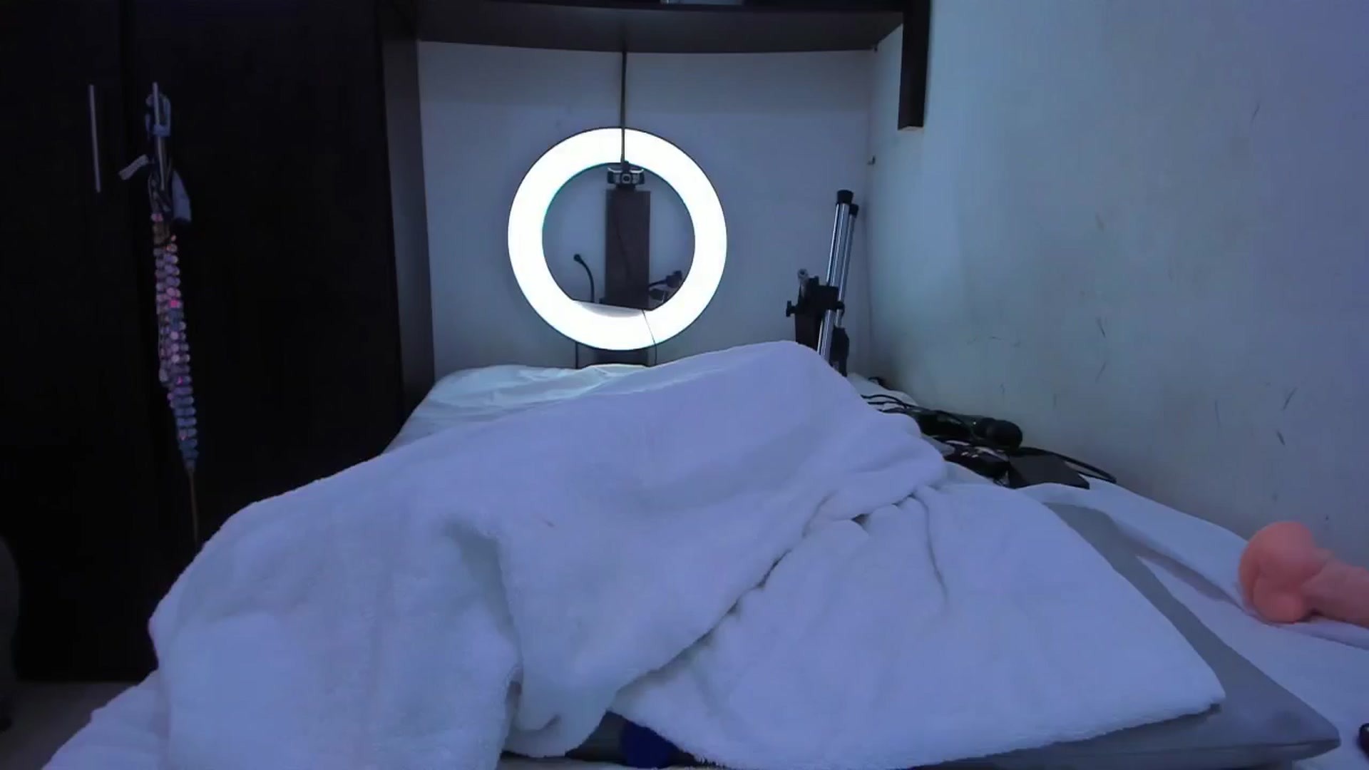 Gallery image thumbnail from SweetNinotCHk's myfreecams stream on, 11/20/2024, 19:21 image 6 of 20