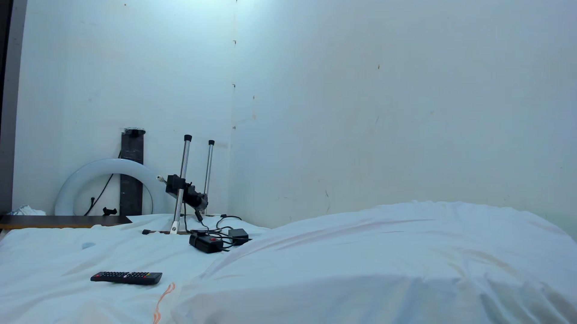 Gallery image thumbnail from SweetNinotCHk's myfreecams stream on, 08/16/2025, 16:50 image 11 of 20