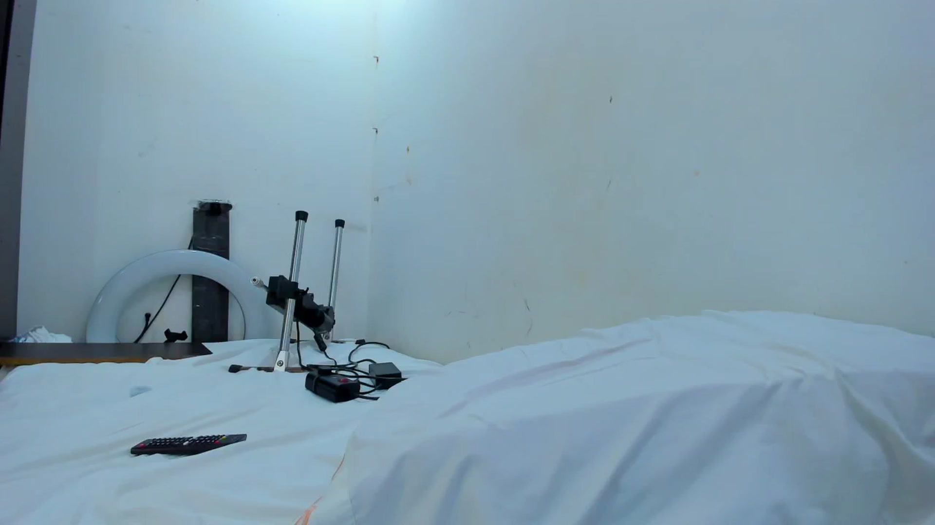 Gallery image thumbnail from SweetNinotCHk's myfreecams stream on, 08/16/2025, 16:50 image 15 of 20