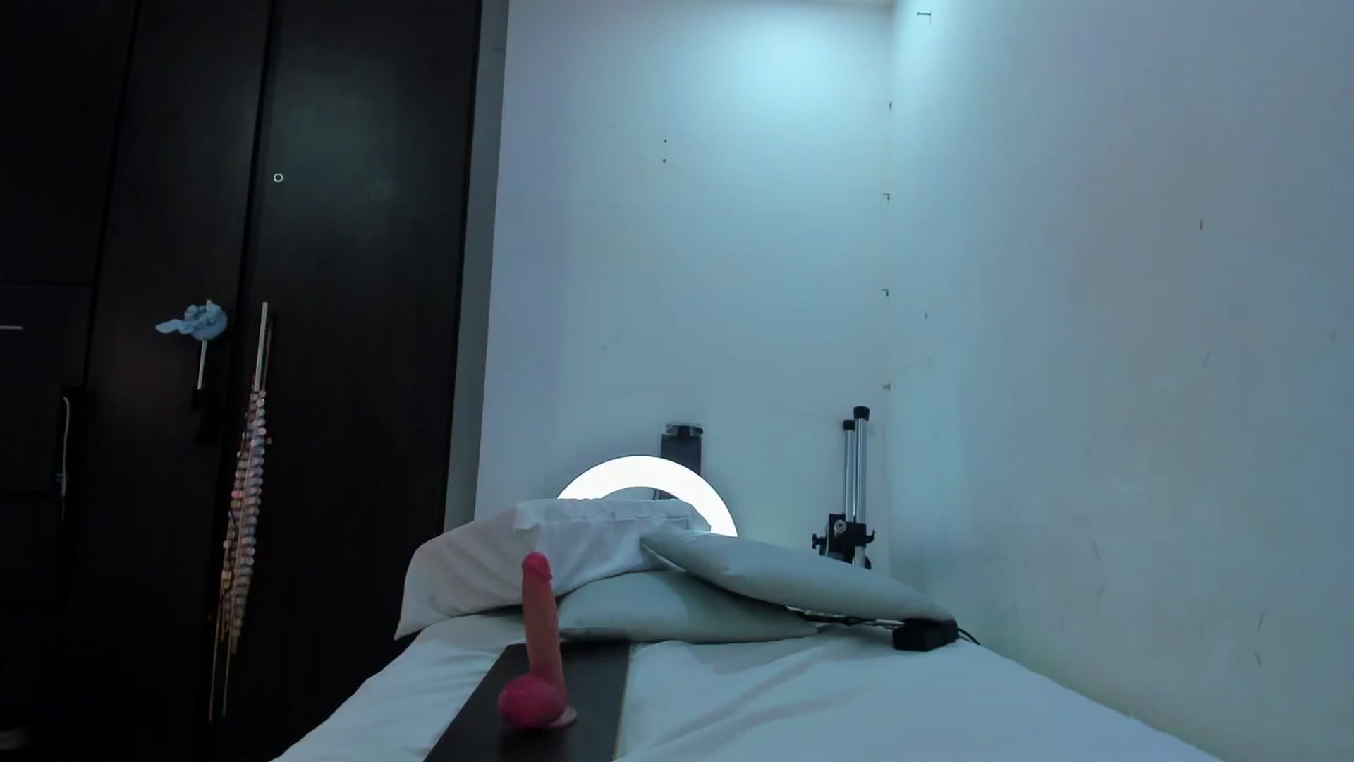 Gallery image thumbnail from SweetNinotCHk's myfreecams stream on, 09/27/2025, 18:07 image 9 of 20