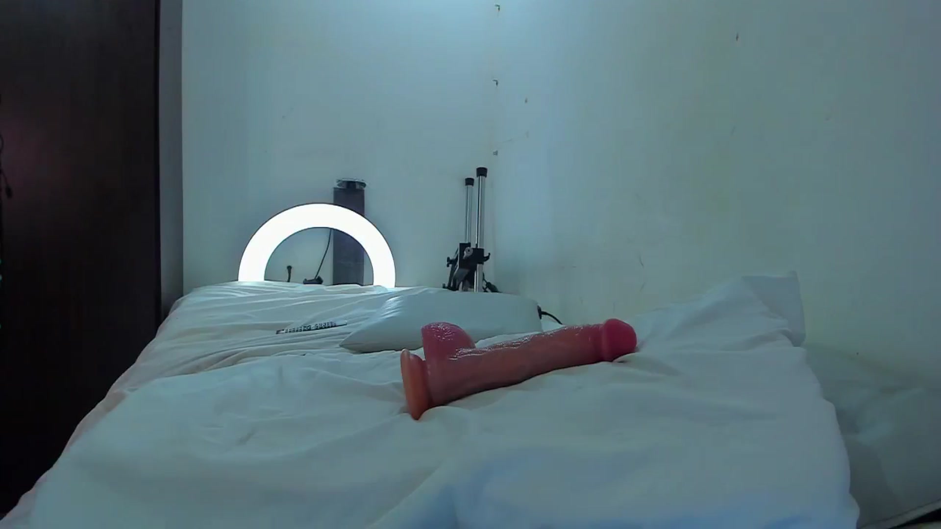 Gallery image thumbnail from SweetNinotCHk's myfreecams stream on, 09/28/2025, 16:46 image 18 of 20