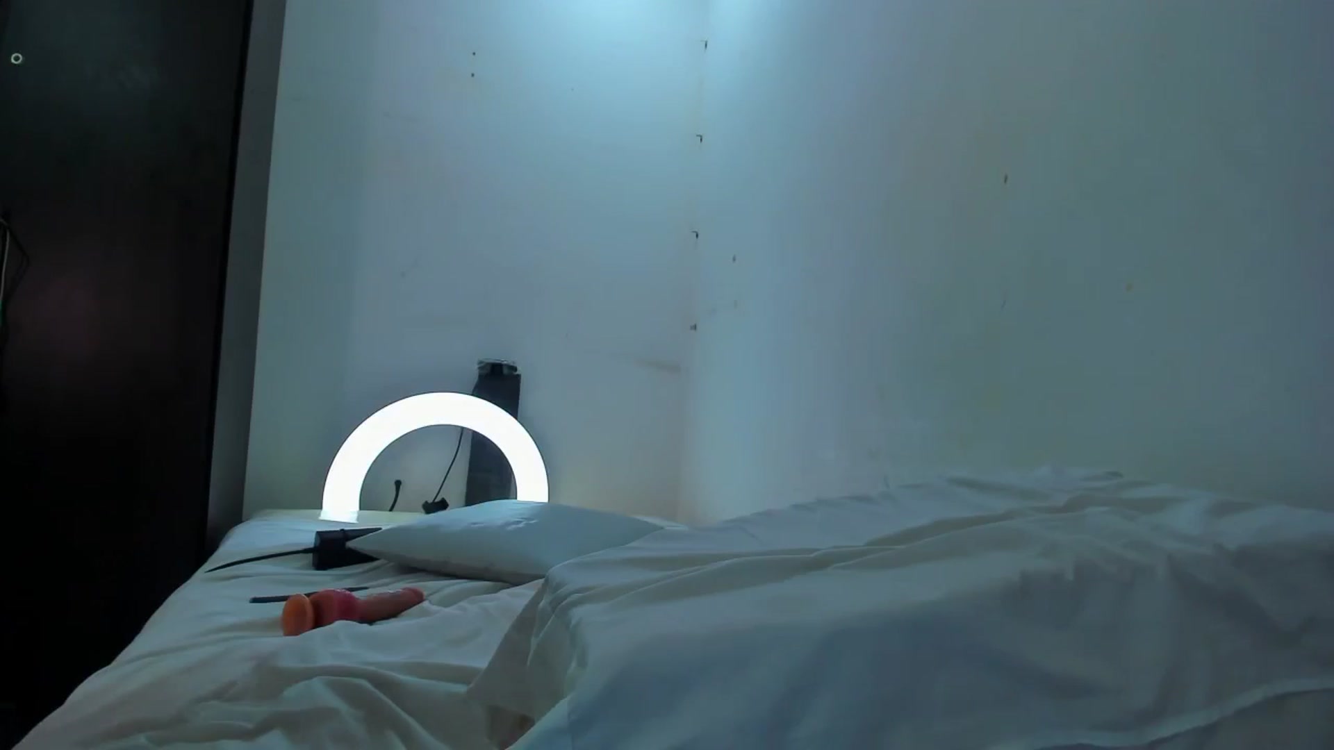 Gallery image thumbnail from SweetNinotCHk's myfreecams stream on, 10/28/2025, 19:54 image 19 of 20