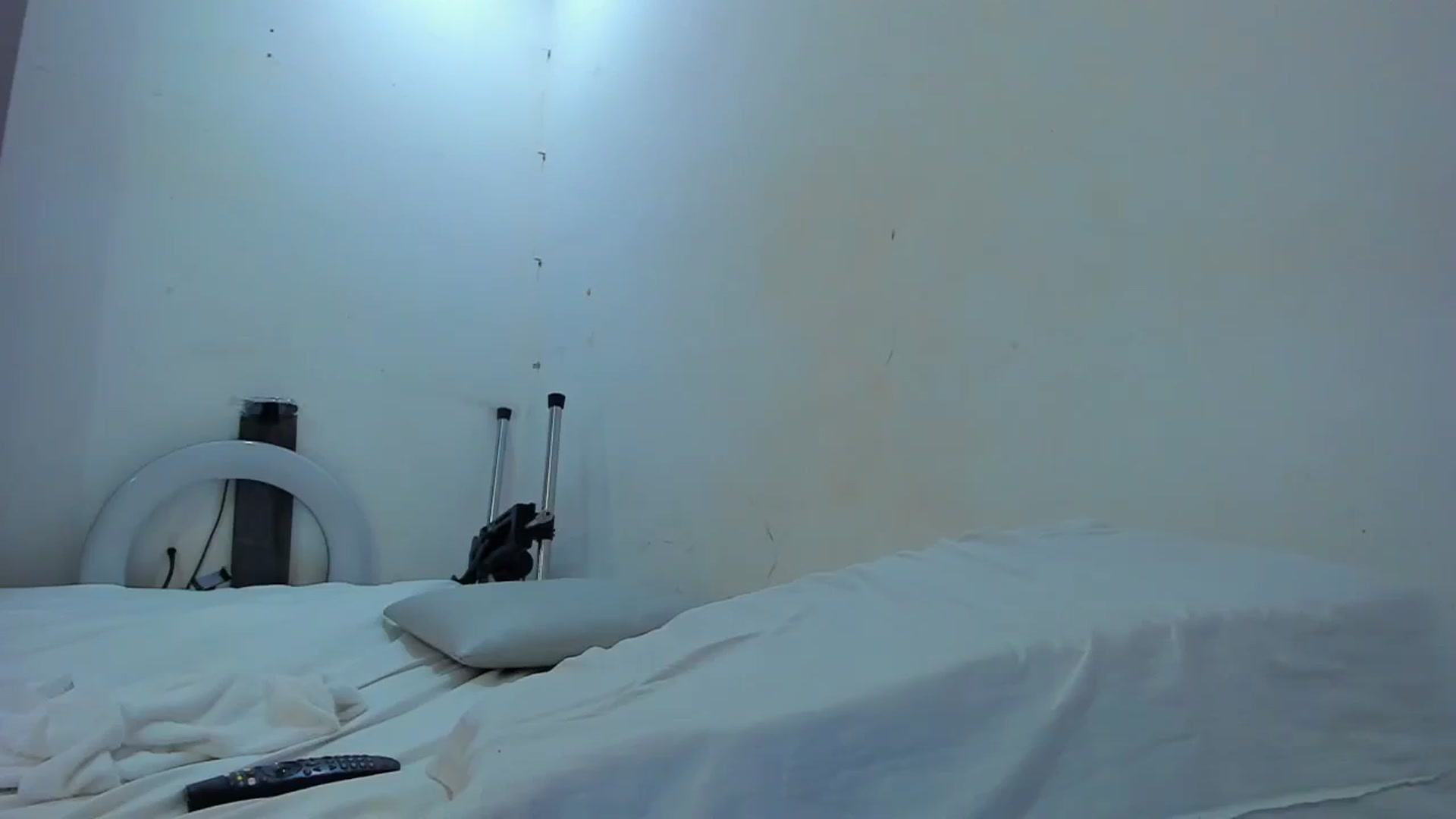 Gallery image thumbnail from SweetNinotCHk's myfreecams stream on, 12/13/2025, 17:20 image 3 of 20