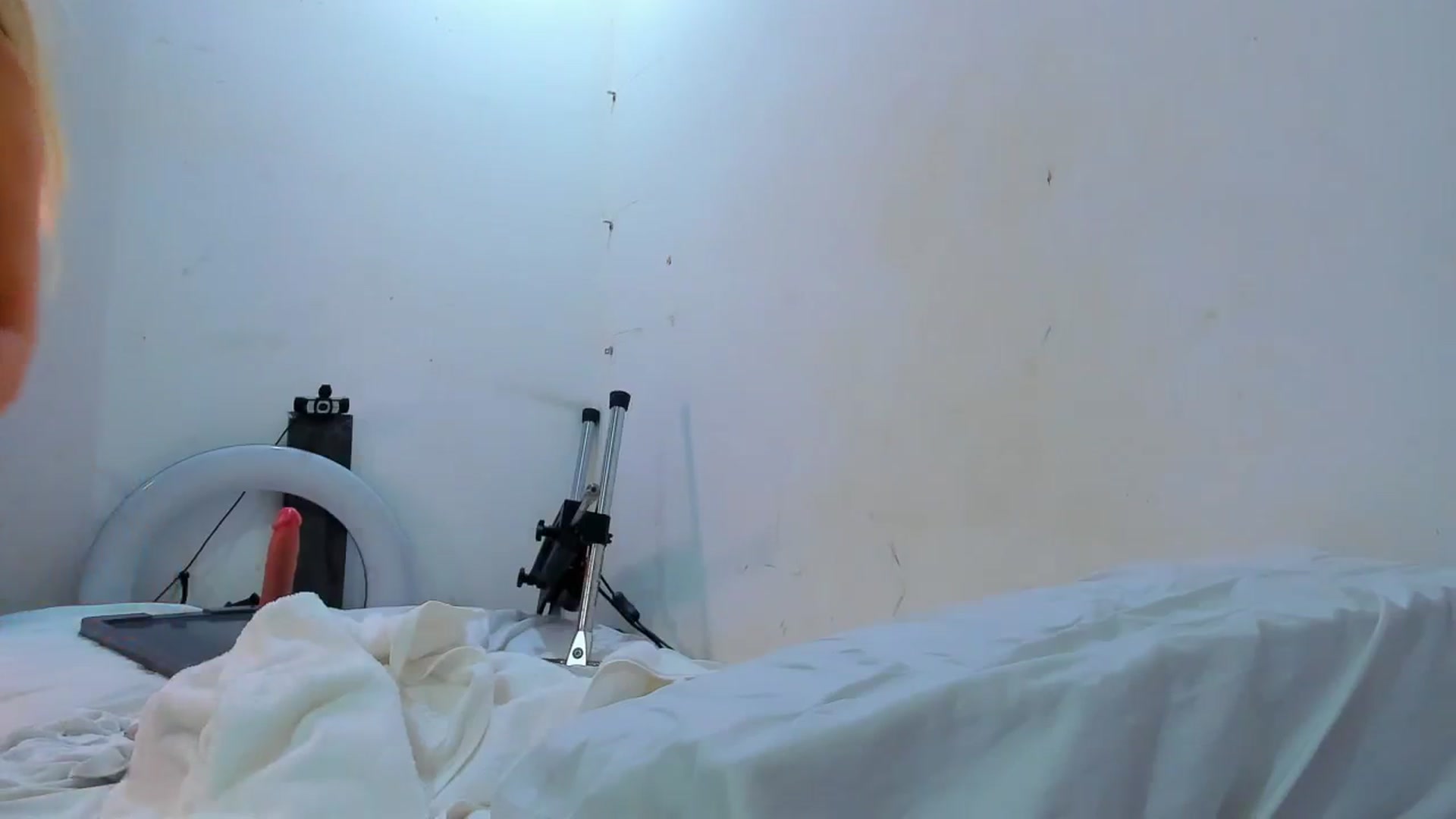Gallery image thumbnail from SweetNinotCHk's myfreecams stream on, 12/23/2025, 22:35 image 16 of 20