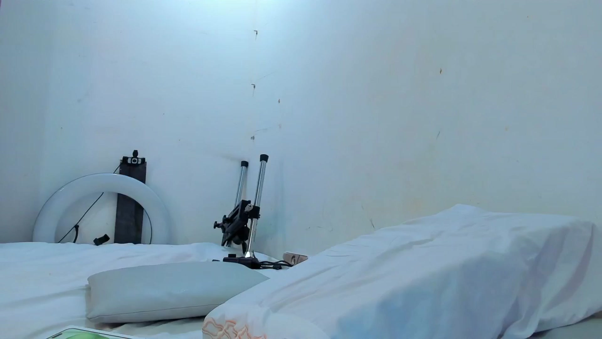 Gallery image thumbnail from SweetNinotCHk's myfreecams stream on, 12/24/2025, 17:06 image 11 of 20