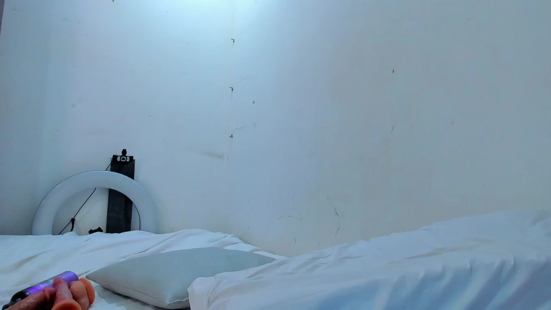Gallery image thumbnail from SweetNinotCHk's myfreecams stream on, 12/26/2025, 19:04 image 13 of 20