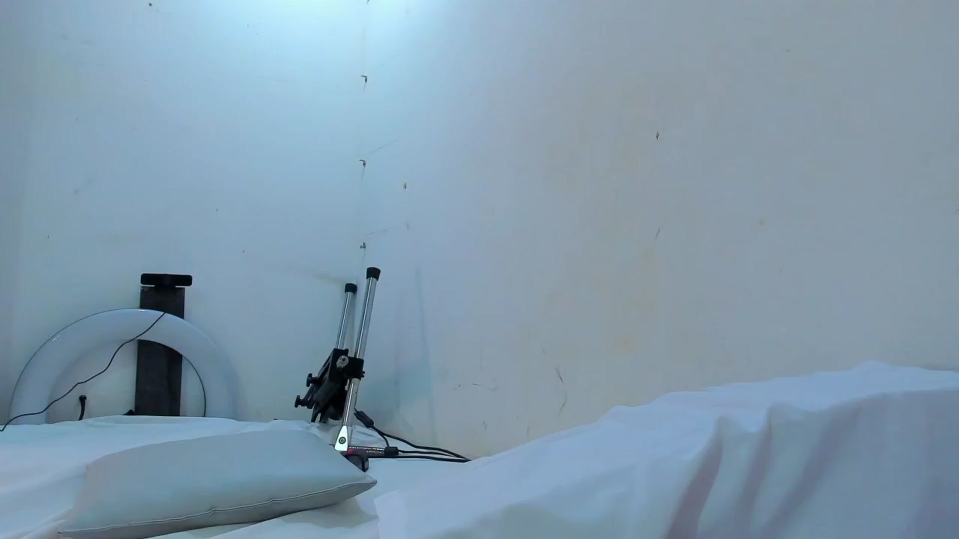 Gallery image thumbnail from SweetNinotCHk's myfreecams stream on, 01/14/2026, 18:09 image 18 of 20
