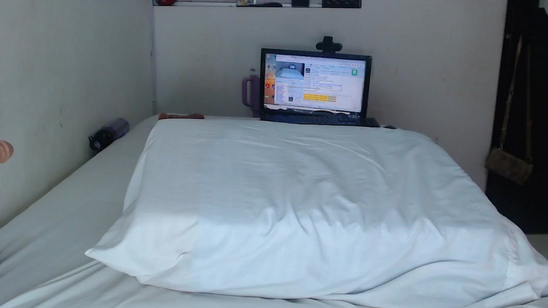 Gallery image thumbnail from SweetNinotCHk's myfreecams stream on, 01/15/2026, 23:39 image 19 of 20