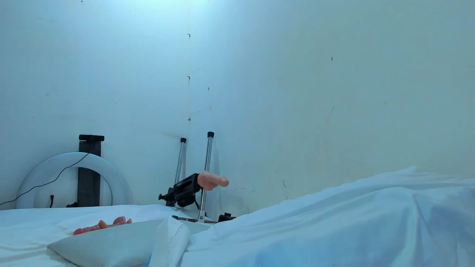 Gallery image thumbnail from SweetNinotCHk's myfreecams stream on, 01/16/2026, 19:41 image 17 of 20