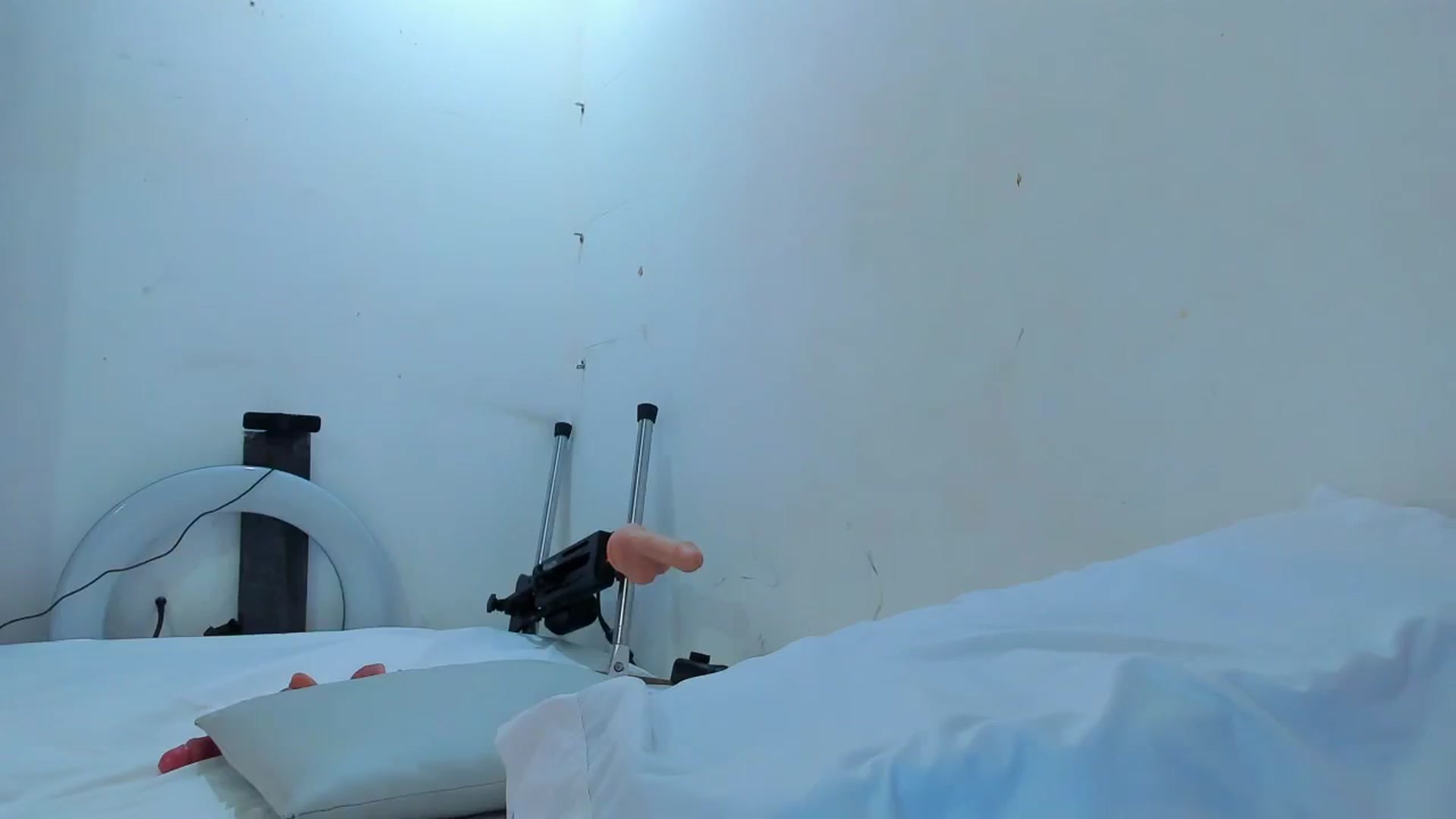 Gallery image thumbnail from SweetNinotCHk's myfreecams stream on, 01/16/2026, 19:41 image 18 of 20