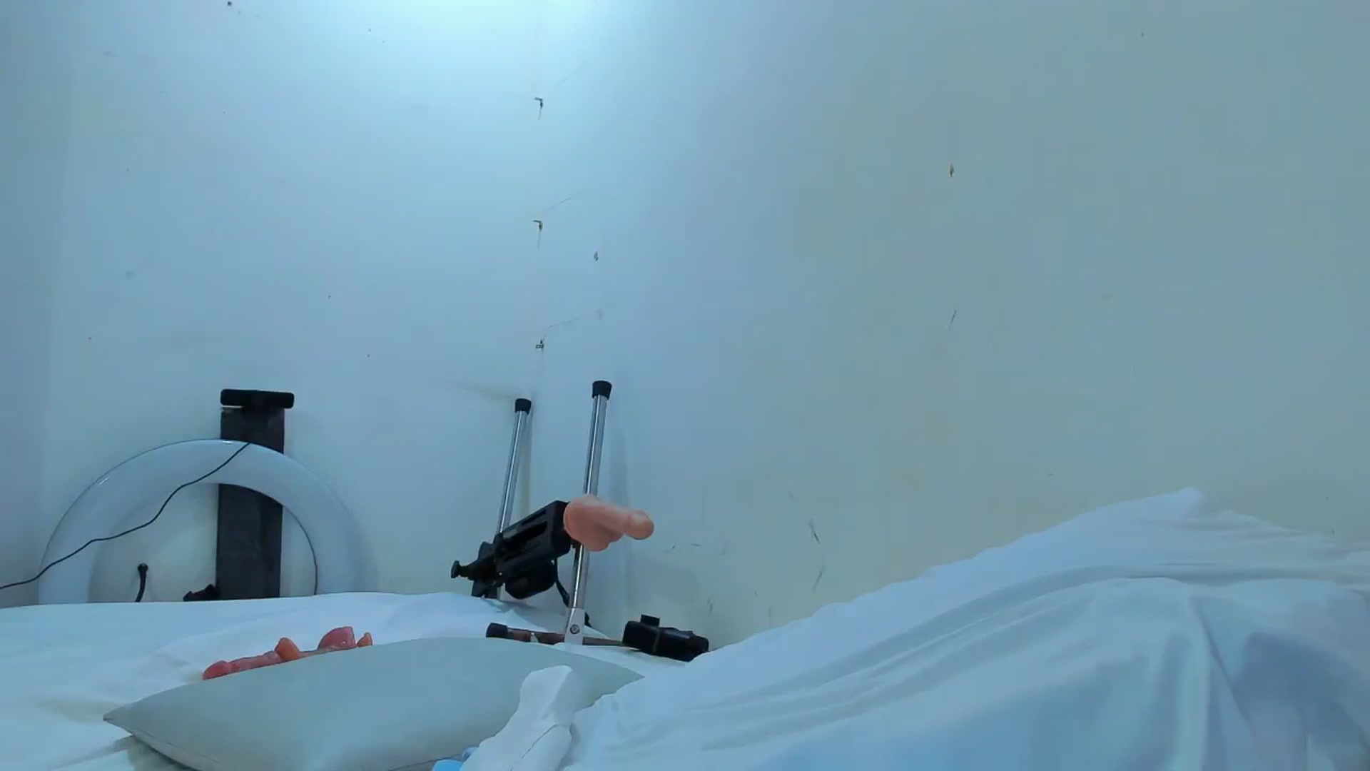 Gallery image thumbnail from SweetNinotCHk's myfreecams stream on, 01/16/2026, 19:41 image 15 of 20