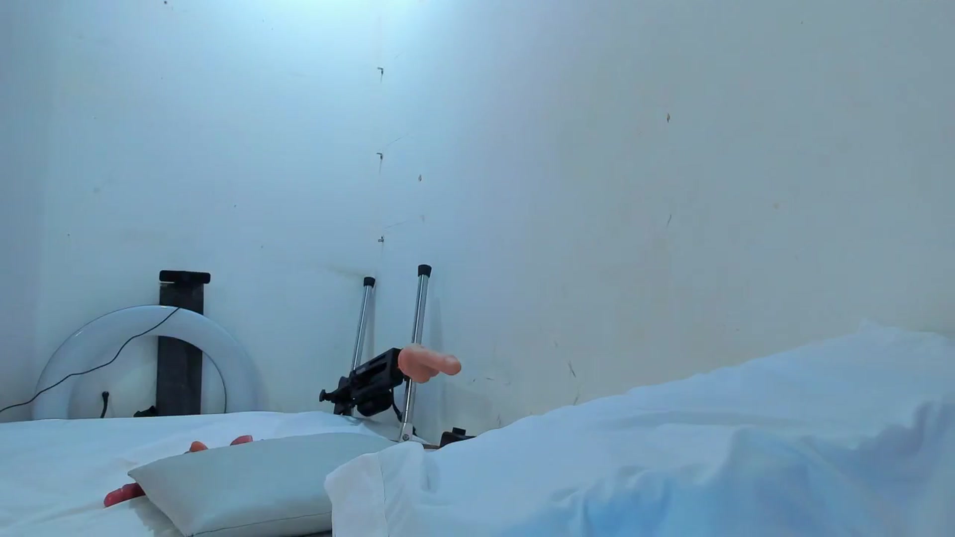 Gallery image thumbnail from SweetNinotCHk's myfreecams stream on, 01/16/2026, 19:41 image 19 of 20