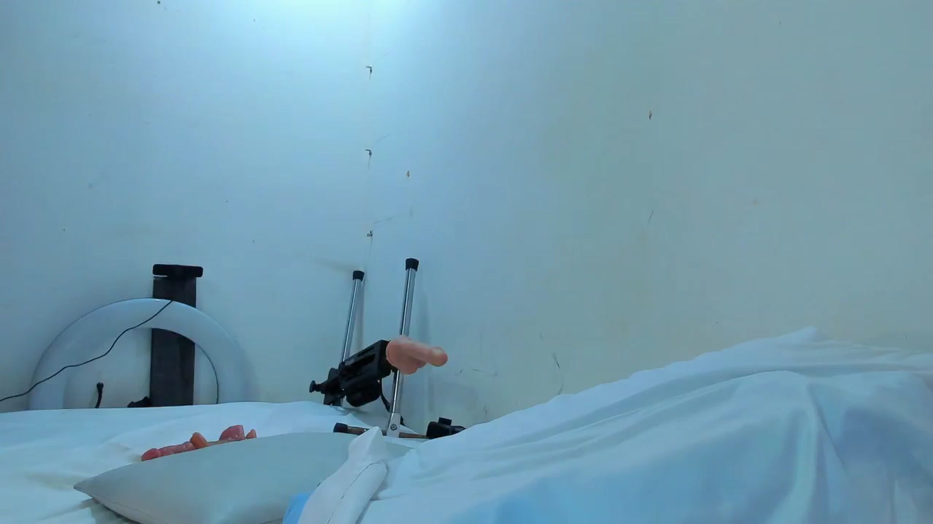 Gallery image thumbnail from SweetNinotCHk's myfreecams stream on, 01/16/2026, 19:41 image 16 of 20