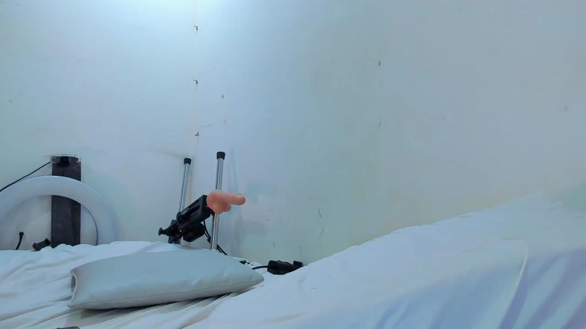 Gallery image thumbnail from SweetNinotCHk's myfreecams stream on, 01/23/2026, 19:16 image 18 of 20