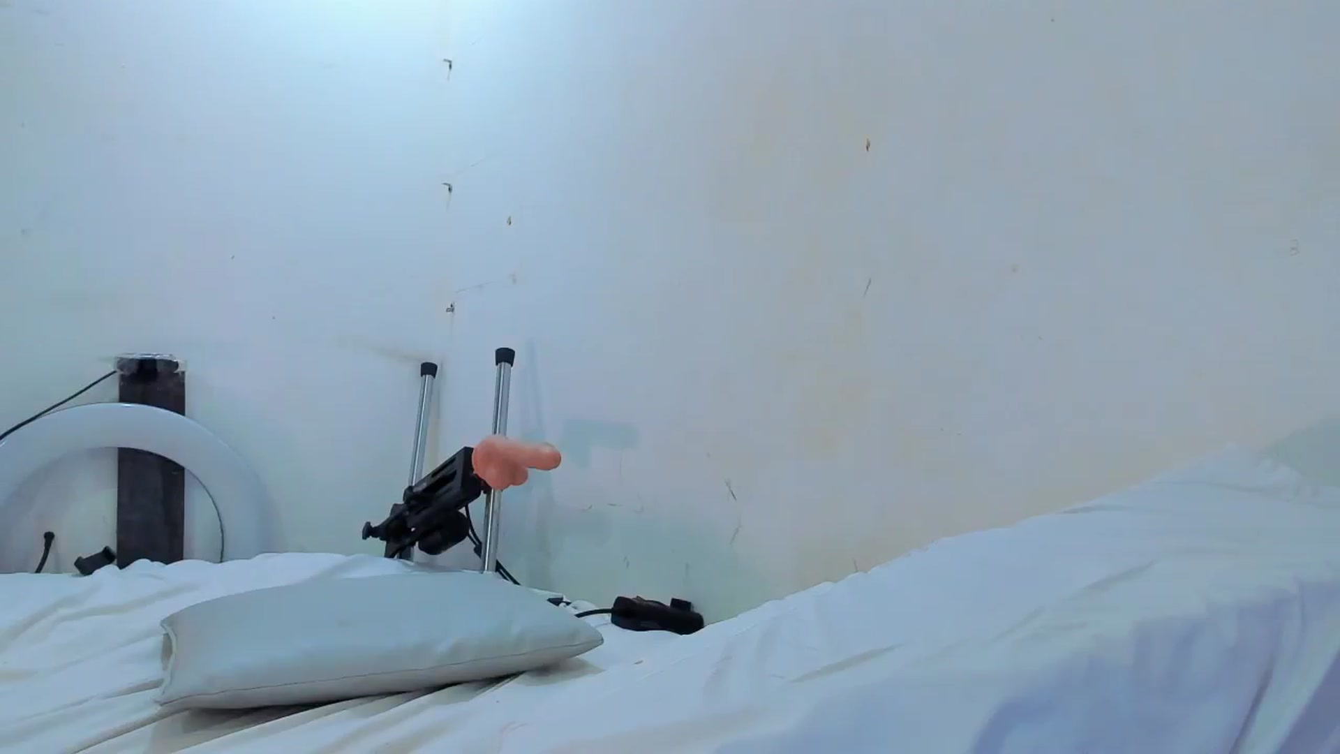 Gallery image thumbnail from SweetNinotCHk's myfreecams stream on, 01/23/2026, 19:16 image 20 of 20