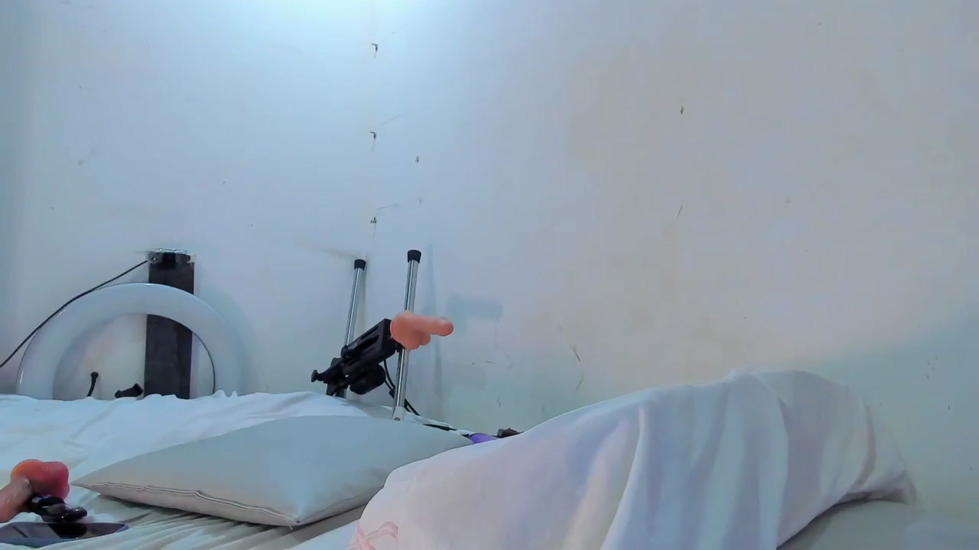 Gallery image thumbnail from SweetNinotCHk's myfreecams stream on, 01/23/2026, 22:43 image 19 of 20