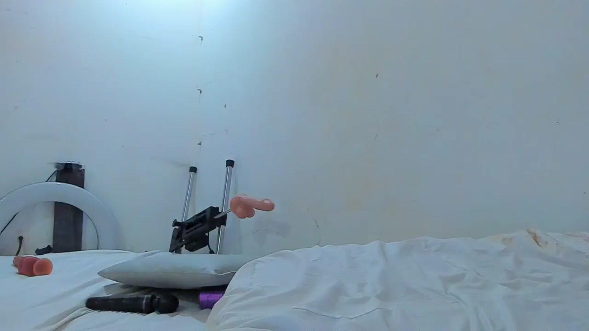 Gallery image thumbnail from SweetNinotCHk's myfreecams stream on, 01/25/2026, 16:37 image 18 of 20